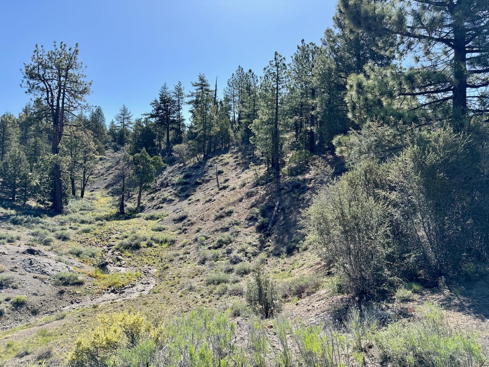 492 Clouds Rest, Portola, New Mexico image 3