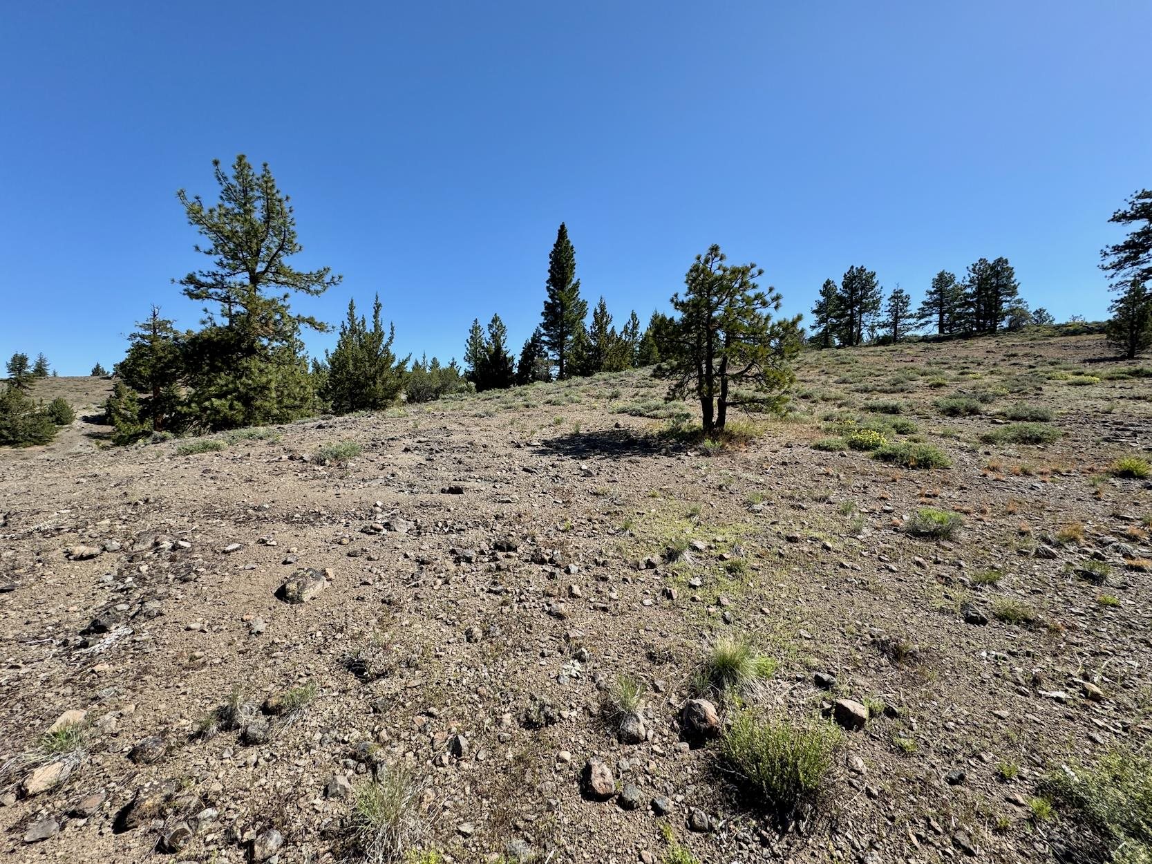 492 Clouds Rest, Portola, New Mexico image 21
