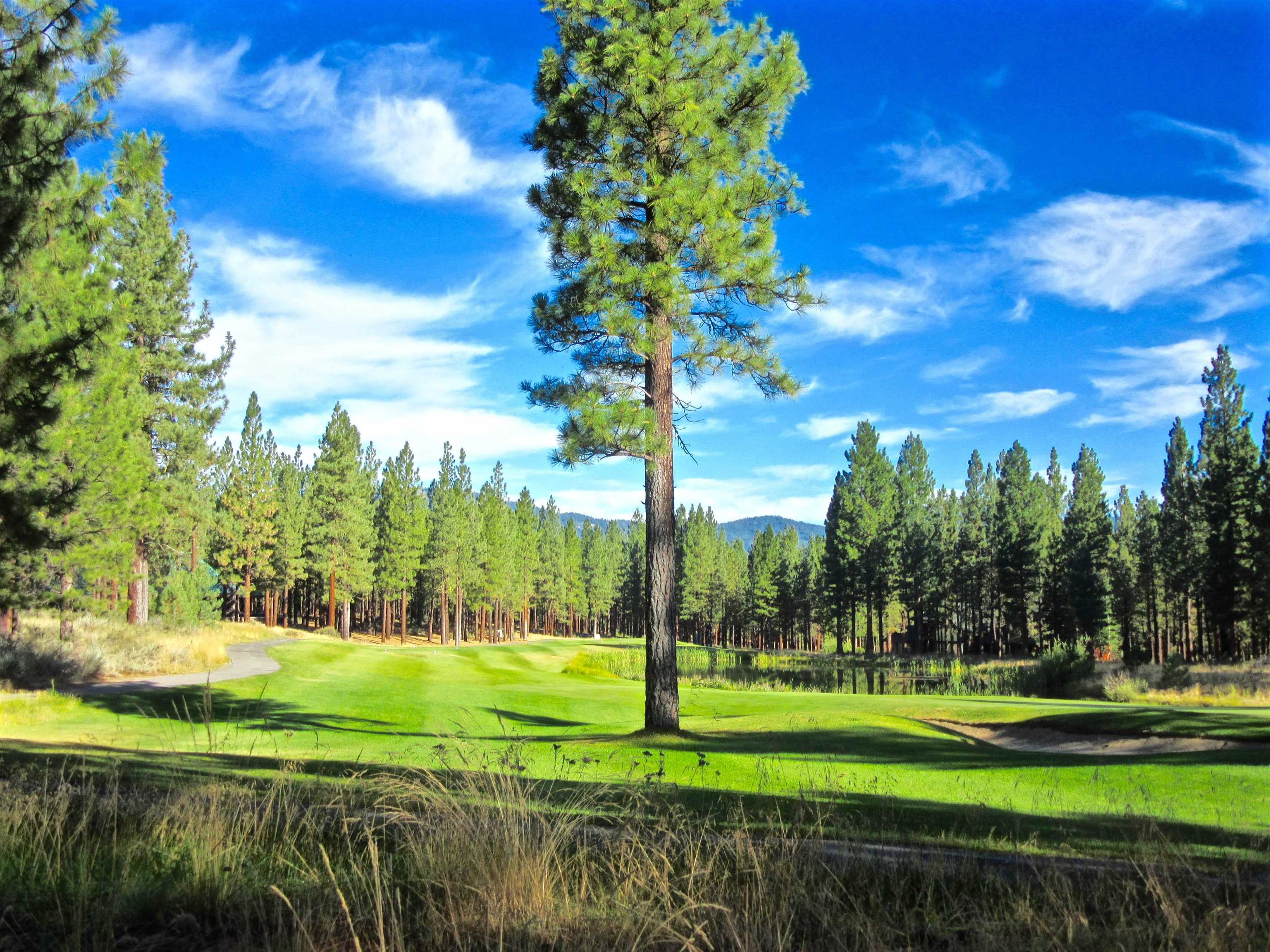 492 Clouds Rest, Portola, New Mexico image 35
