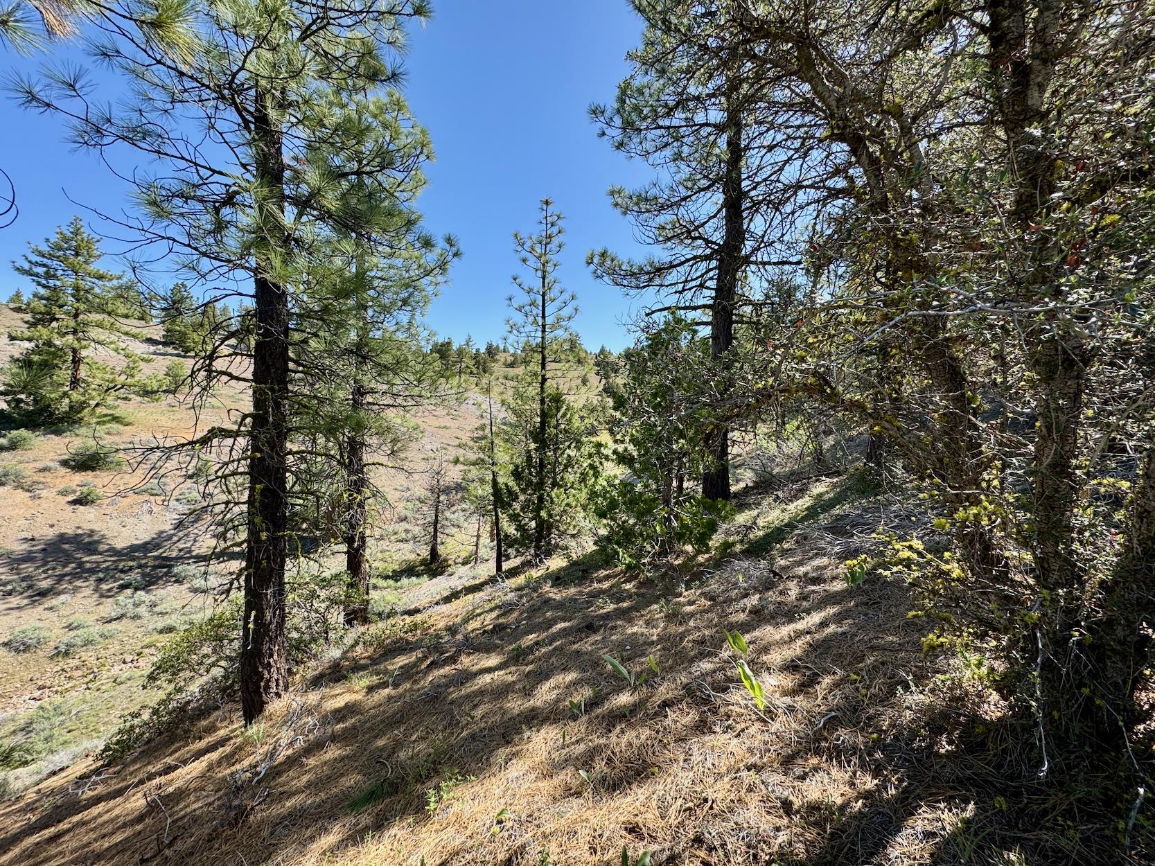 492 Clouds Rest, Portola, New Mexico image 14