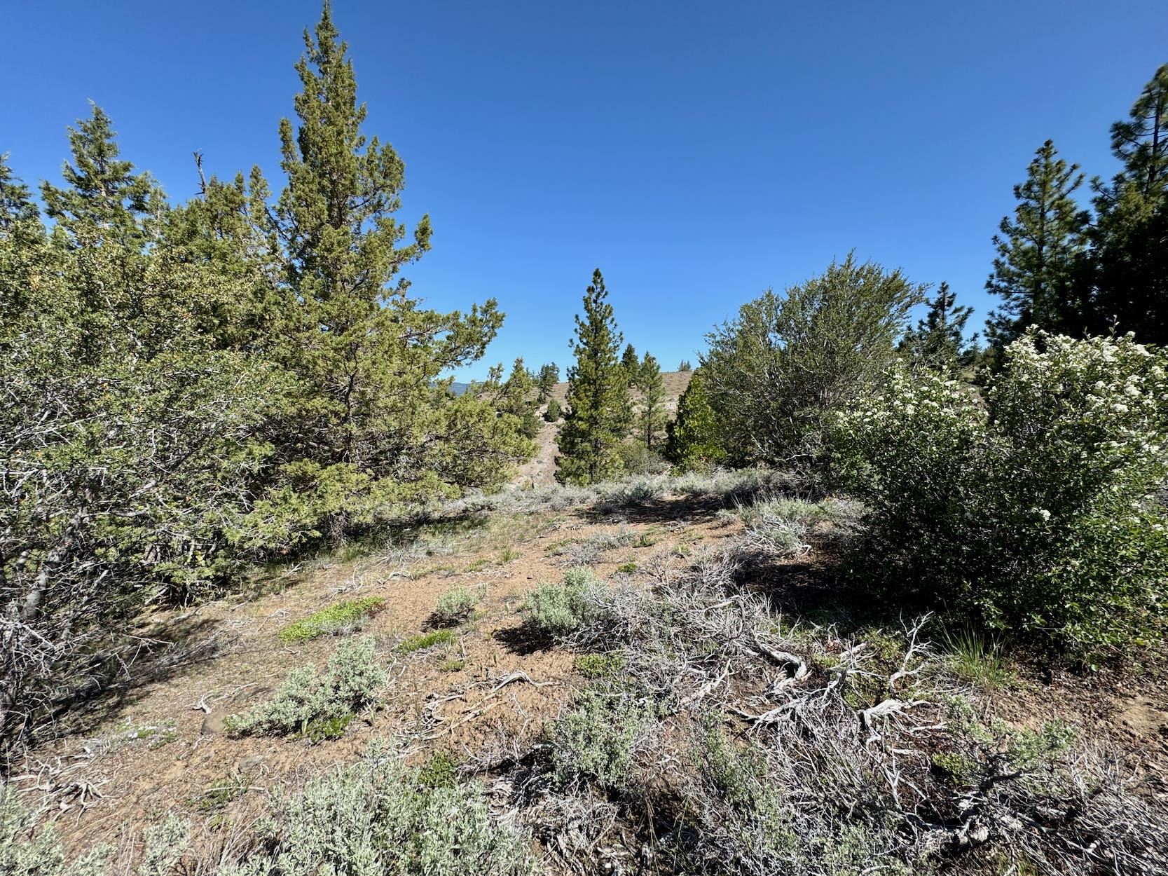 492 Clouds Rest, Portola, New Mexico image 12