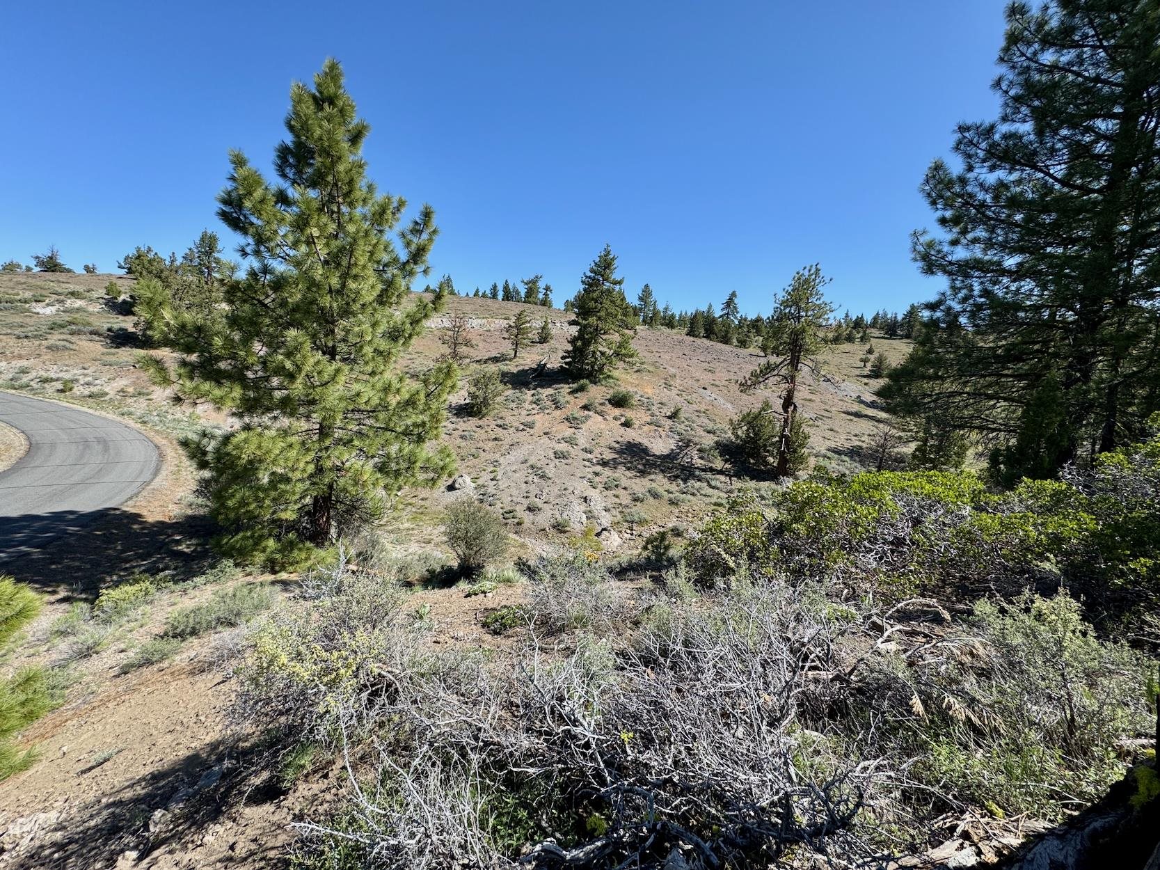 492 Clouds Rest, Portola, New Mexico image 17