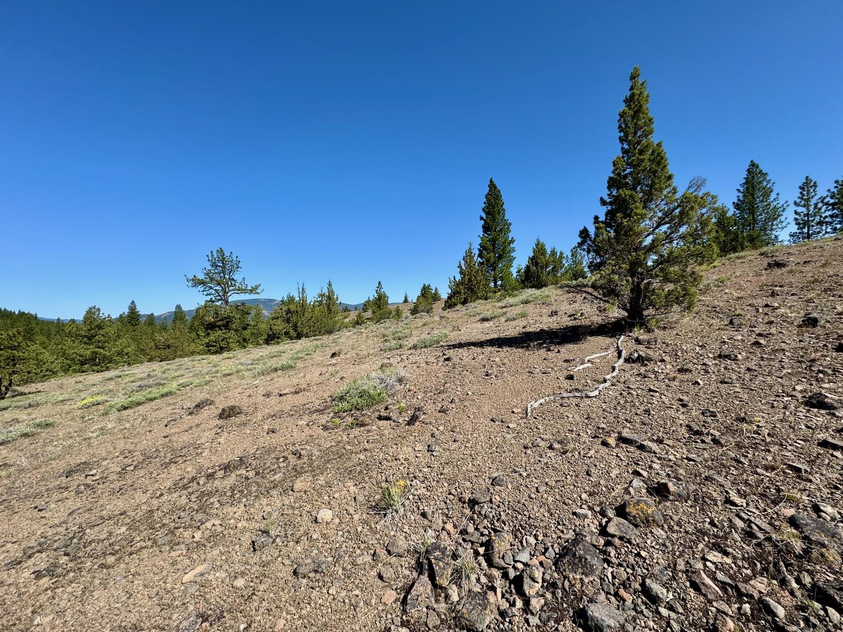 492 Clouds Rest, Portola, New Mexico image 10