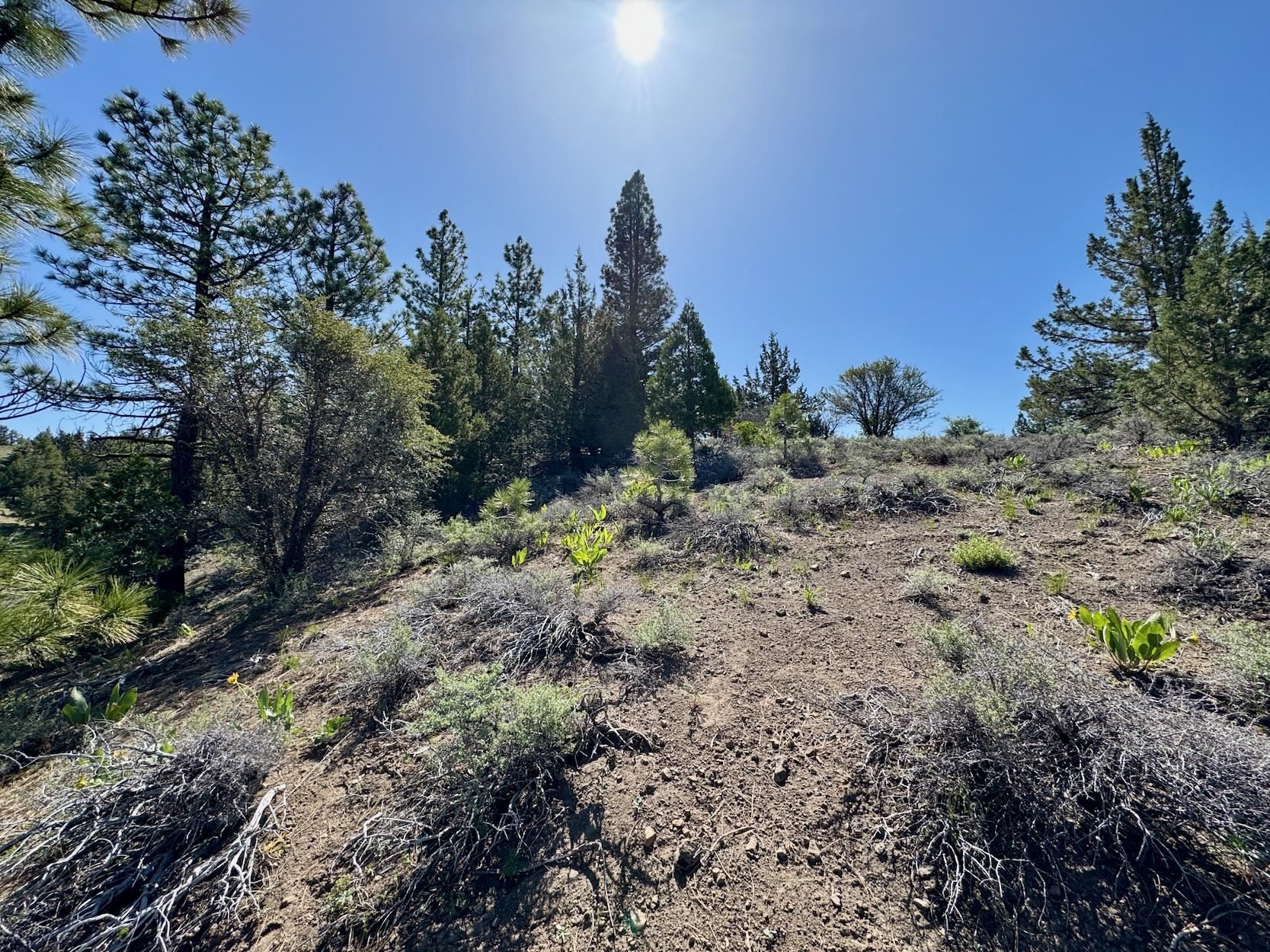 492 Clouds Rest, Portola, New Mexico image 16