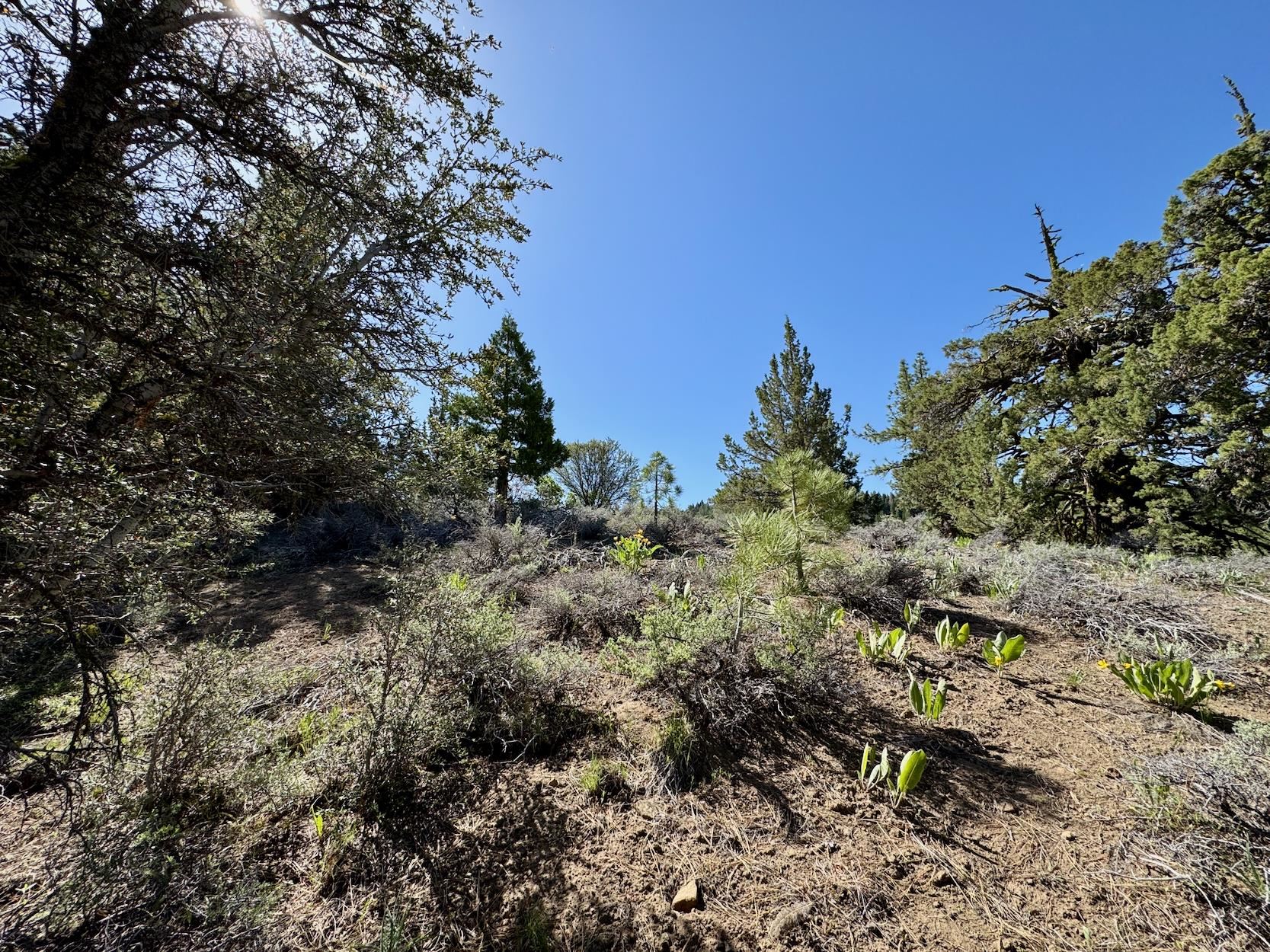 492 Clouds Rest, Portola, New Mexico image 15