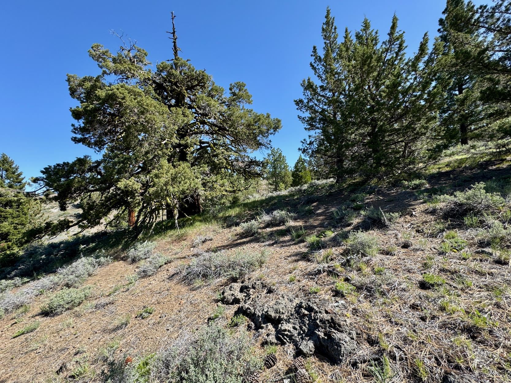 492 Clouds Rest, Portola, New Mexico image 13