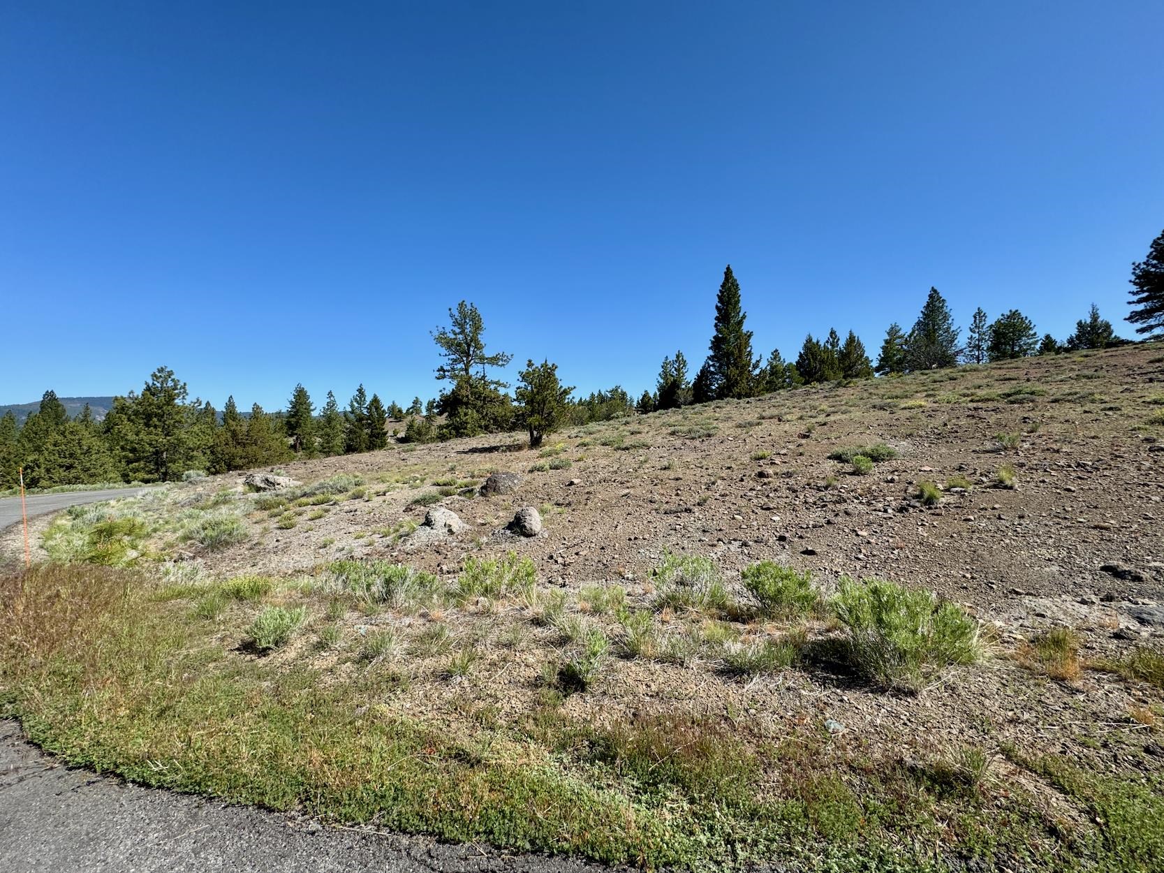 492 Clouds Rest, Portola, New Mexico image 7