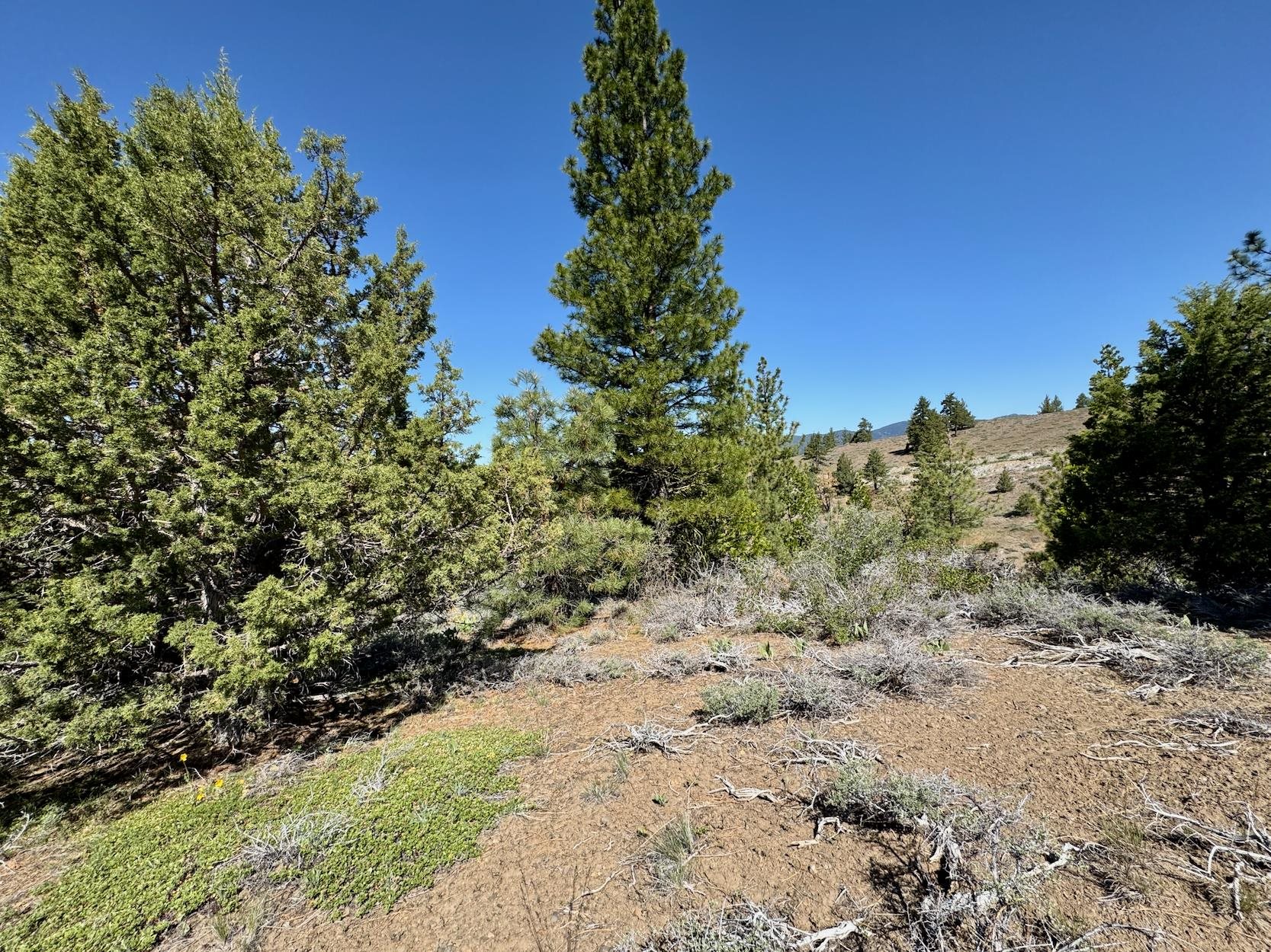 492 Clouds Rest, Portola, New Mexico image 11