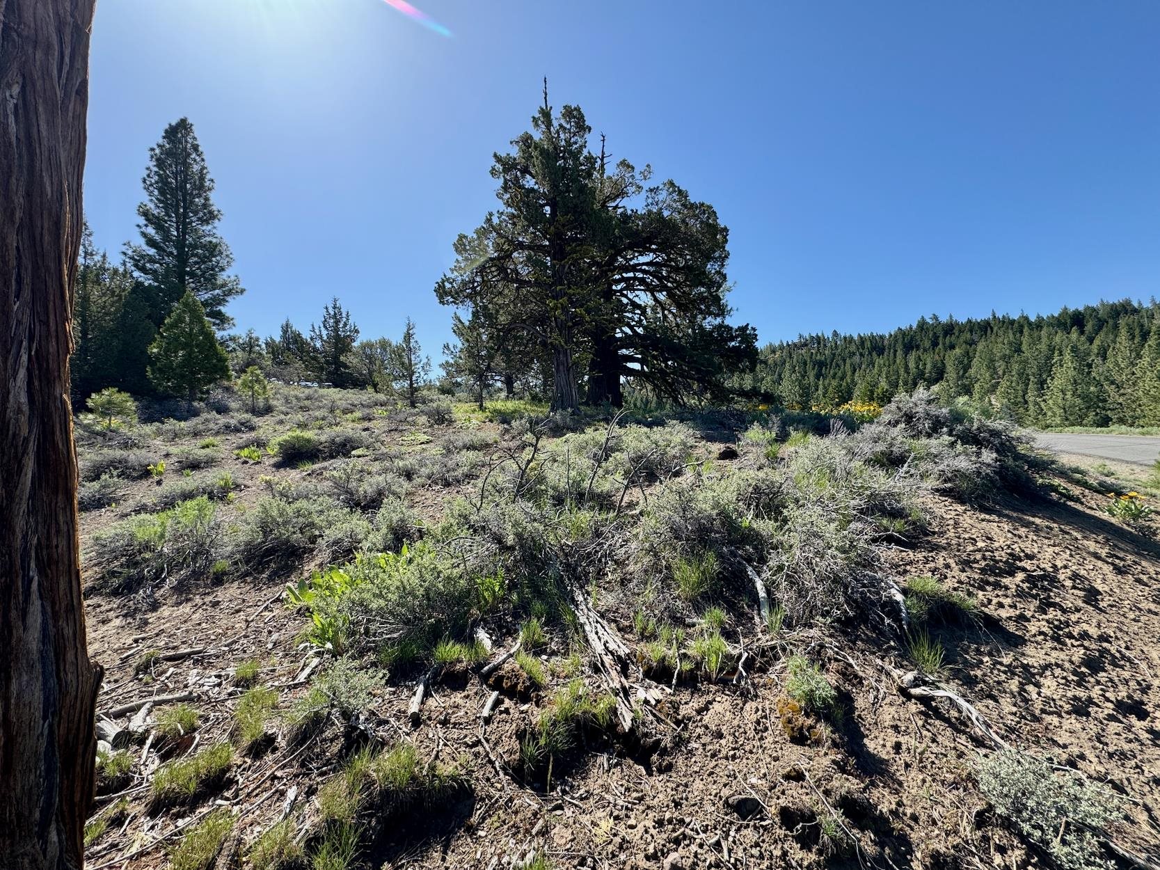 492 Clouds Rest, Portola, New Mexico image 18