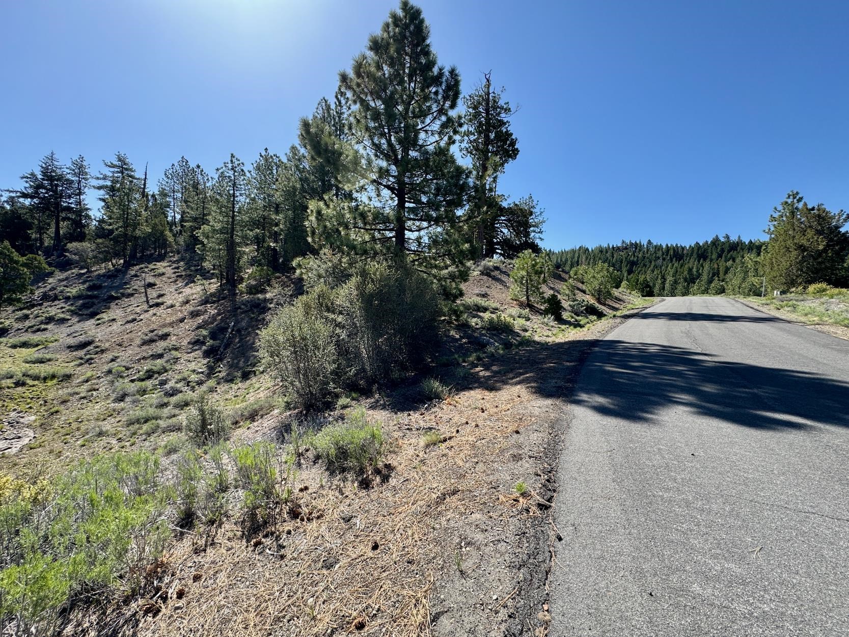 492 Clouds Rest, Portola, New Mexico image 2