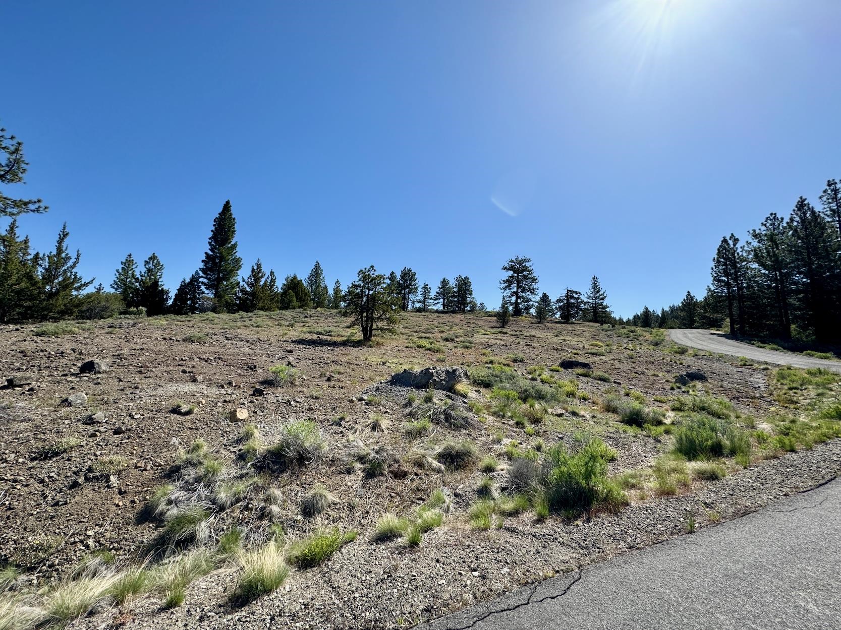 492 Clouds Rest, Portola, New Mexico image 6