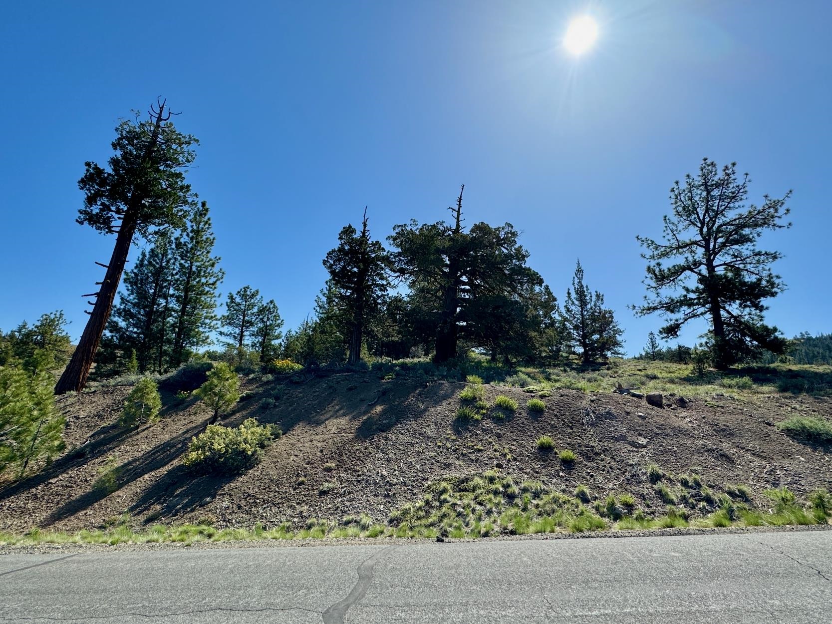 492 Clouds Rest, Portola, New Mexico image 4