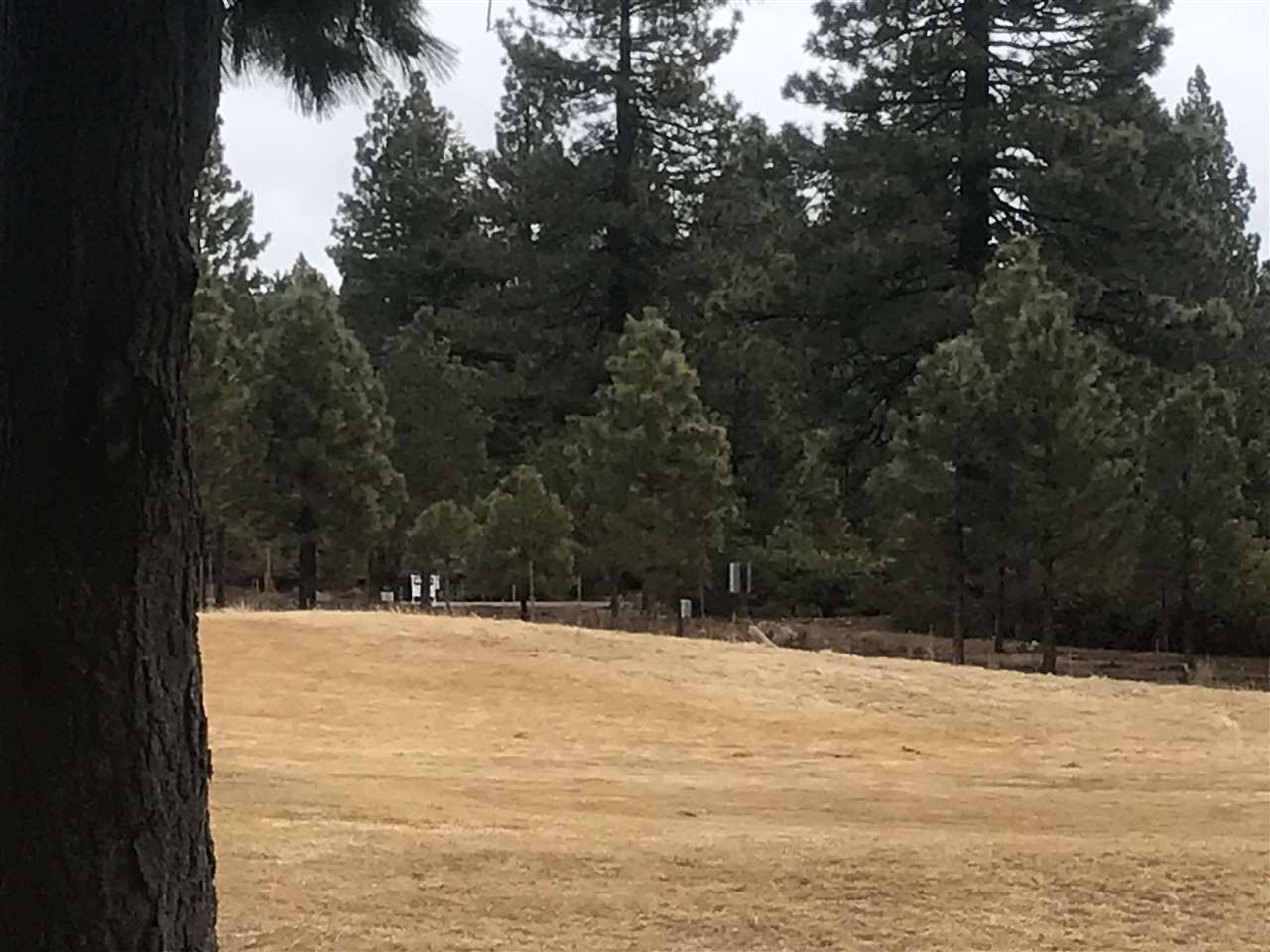 Lake Almanor, California 96137, United States, ,Land,Active,58997