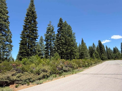 Vacant Land For Sale - 22 N Highwood Circle<br/> Lake Almanor, CA 96137