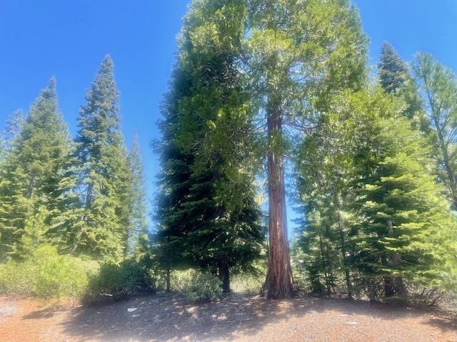 231 Fox Crest Drive, Lake Almanor, Texas image 1