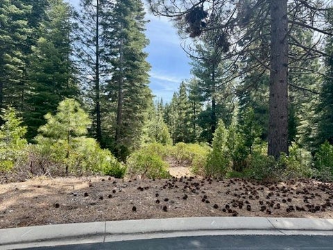 Homes For Sale - 11 Silver Pine Road Rd<br/> Lake Almanor, CA 96137