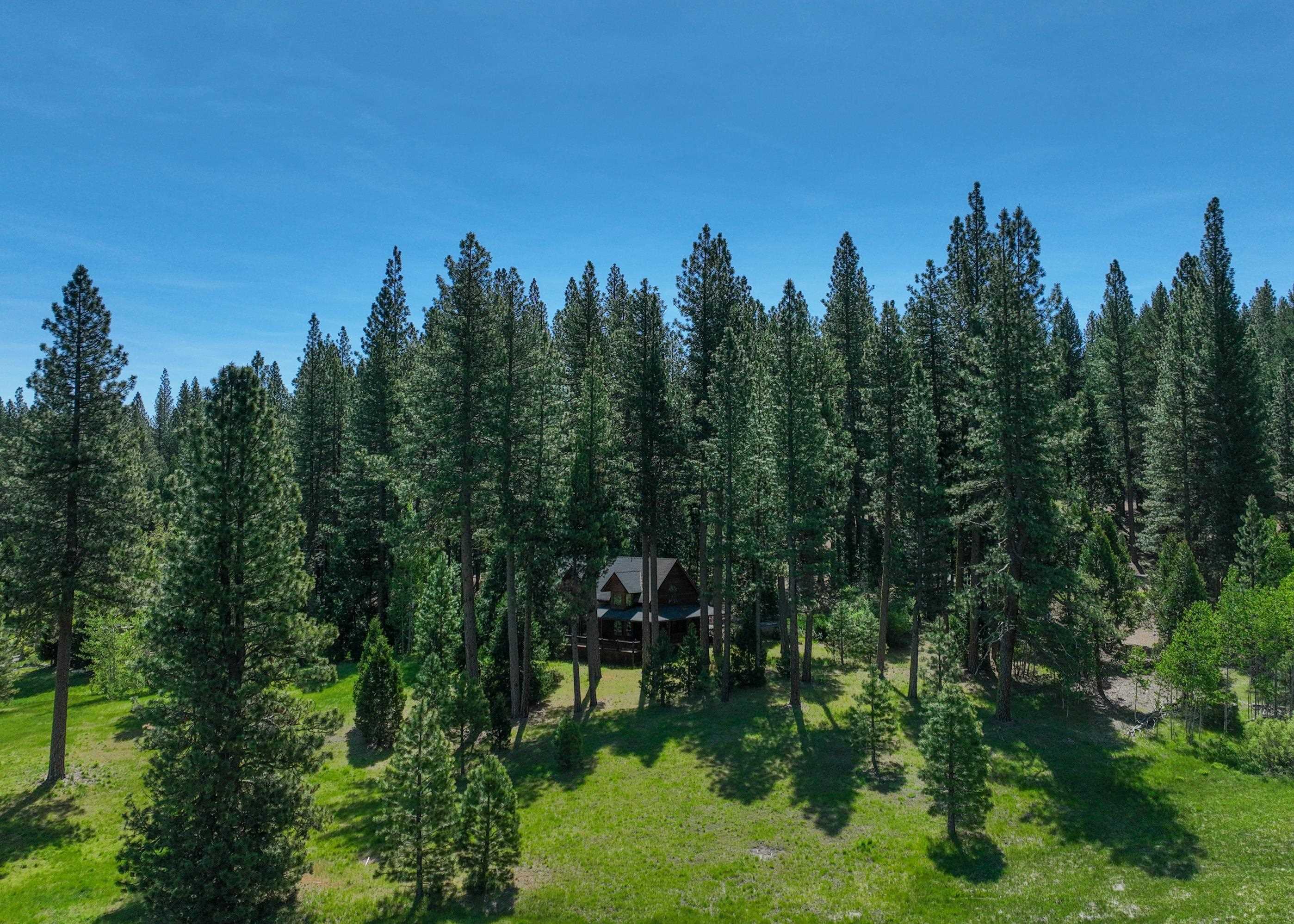 792 N Boulder Drive, Clio, California image 30