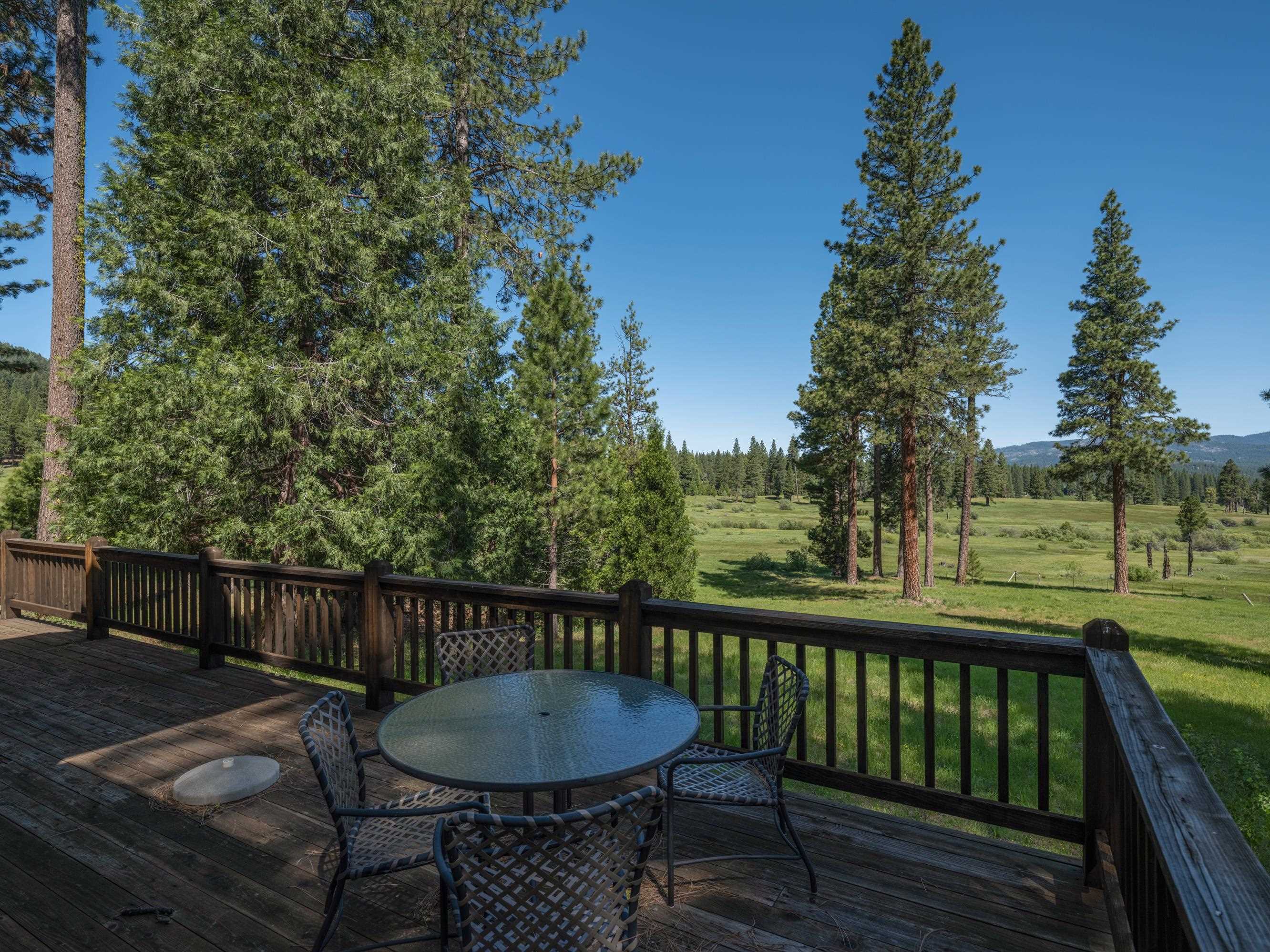 792 N Boulder Drive, Clio, California image 37