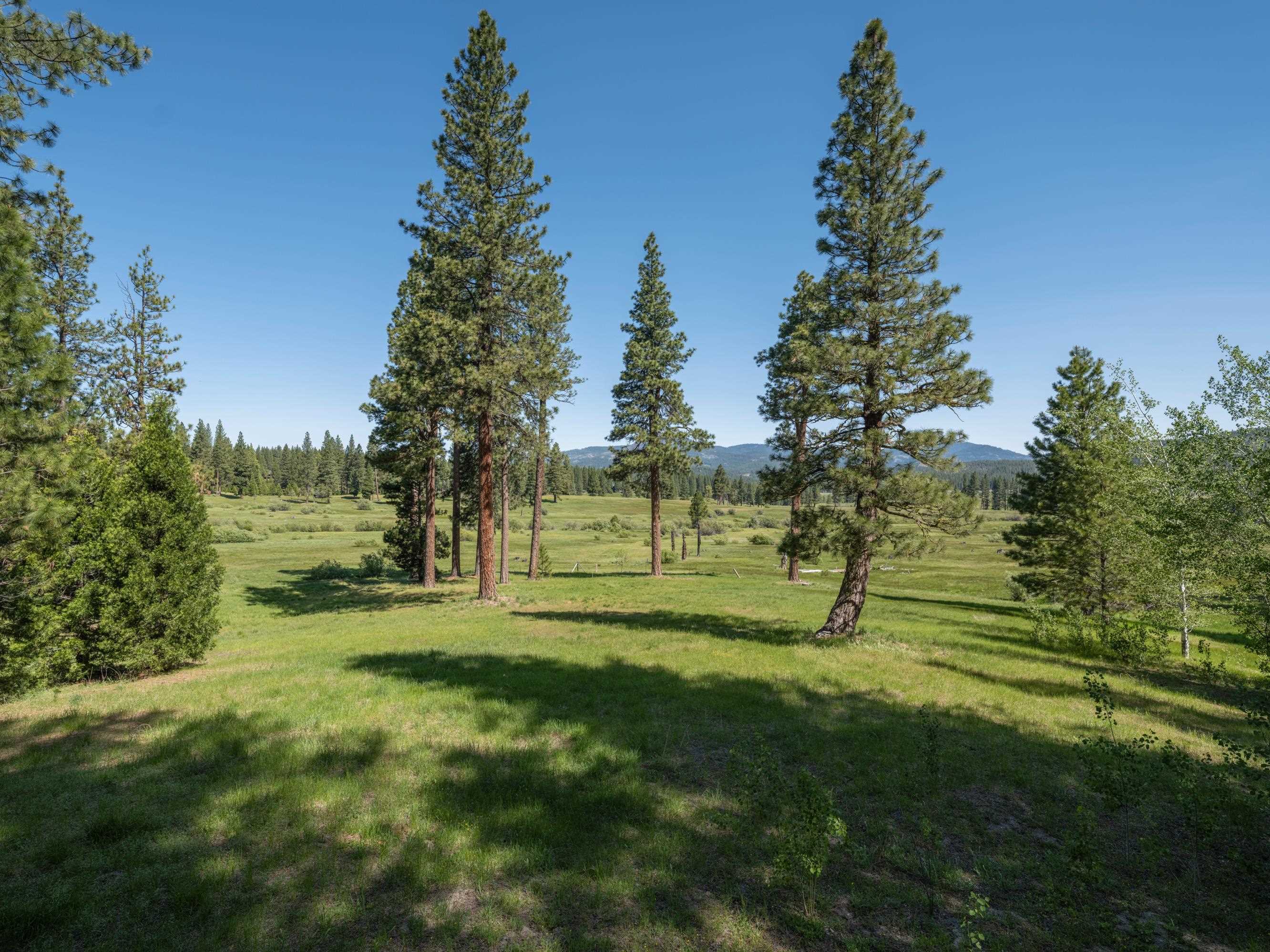 792 N Boulder Drive, Clio, California image 38