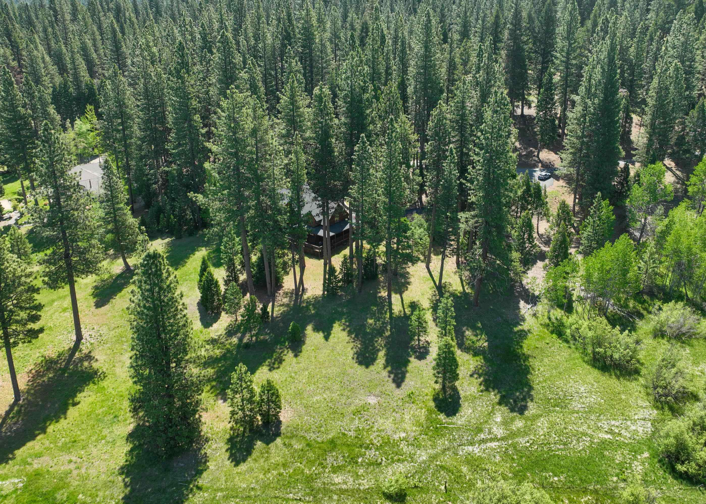 792 N Boulder Drive, Clio, California image 31