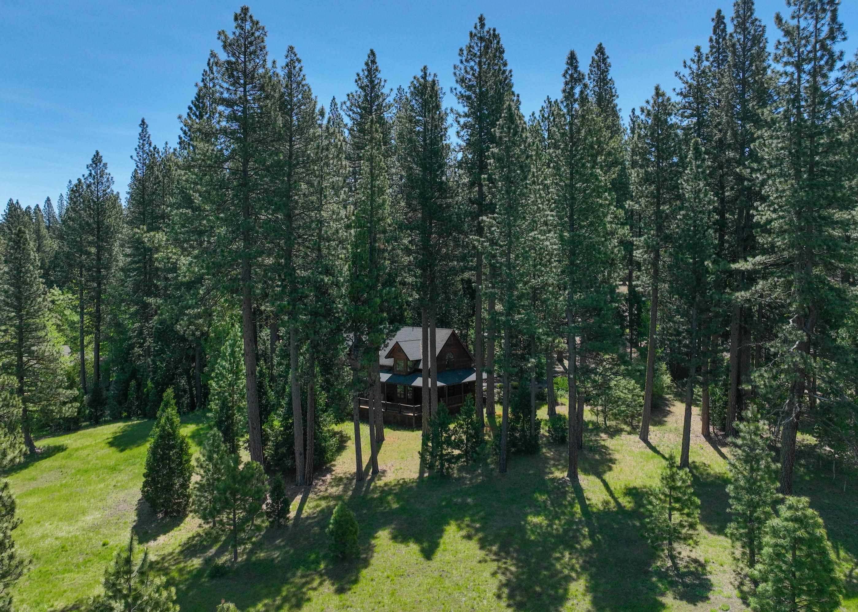 792 N Boulder Drive, Clio, California image 29