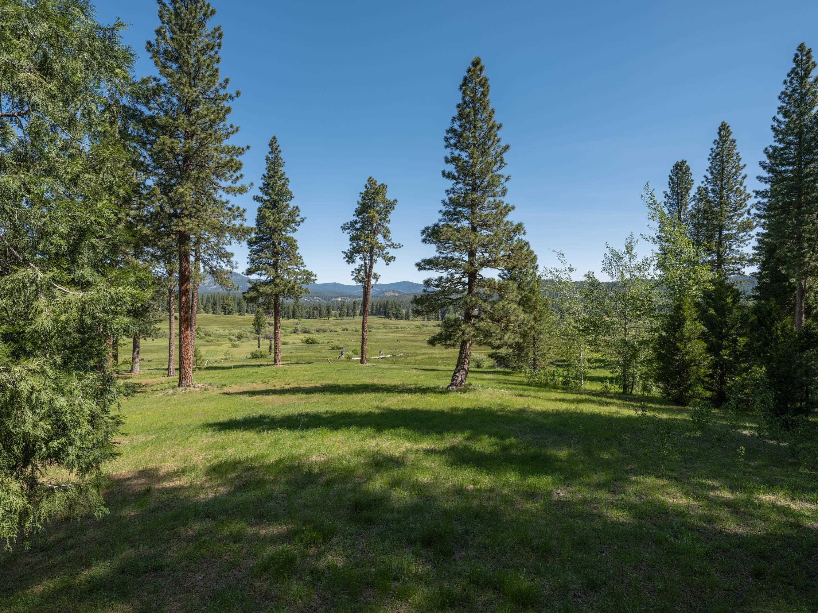 792 N Boulder Drive, Clio, California image 36