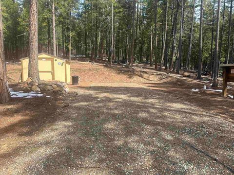 Vacant Land For Sale - 2517 Running Springs Lane Ln<br/> Quincy, CA 95971