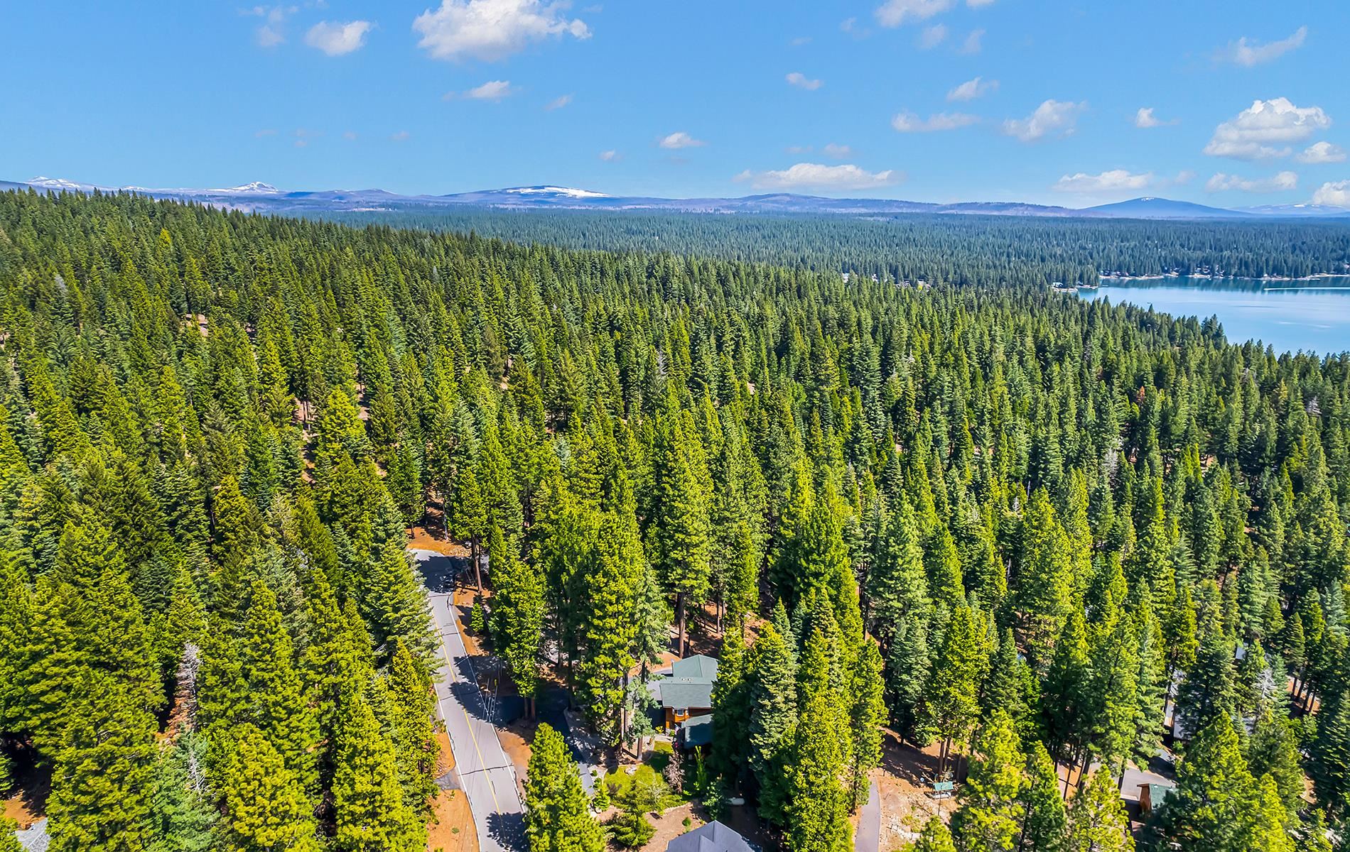 604 Cedar Canyon Road, Lake Almanor, Texas image 36