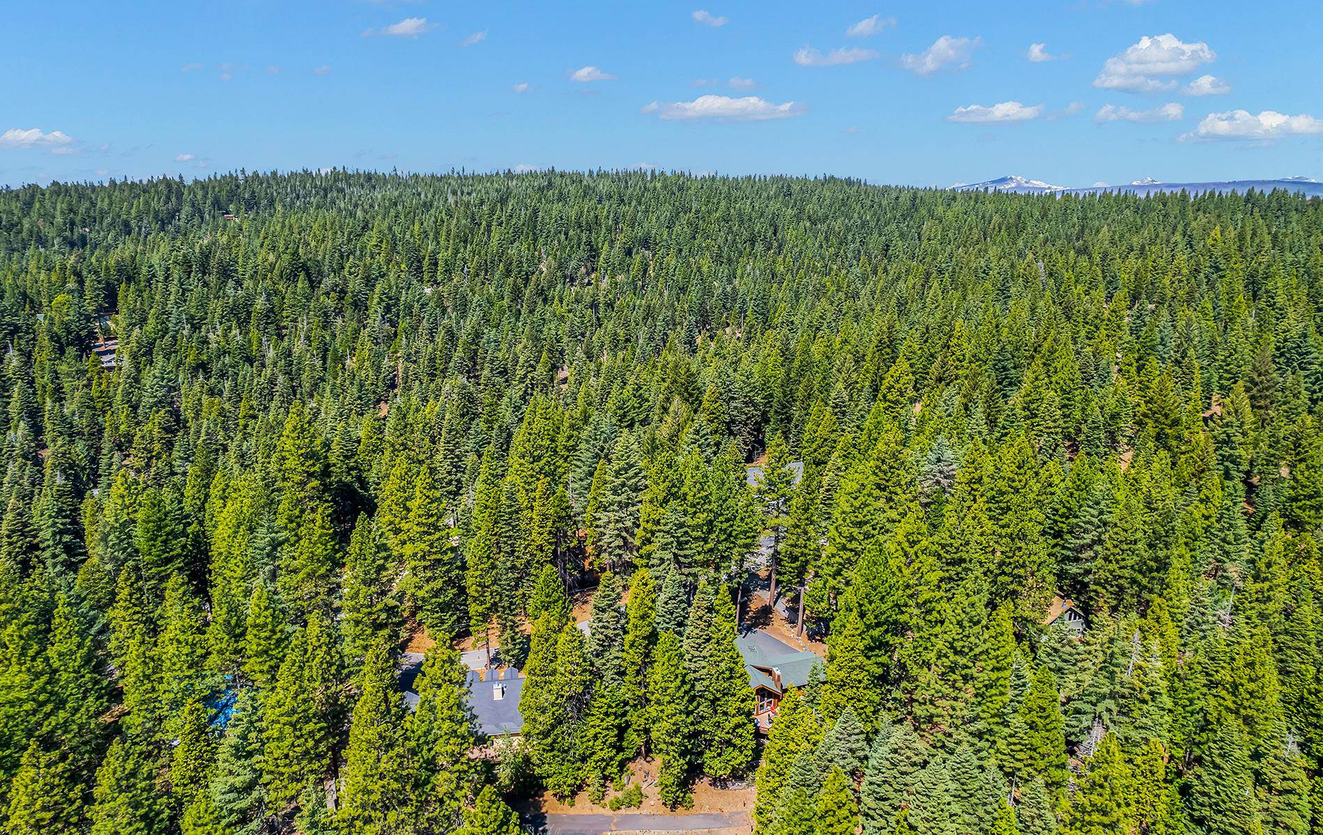 604 Cedar Canyon Road, Lake Almanor, Texas image 37