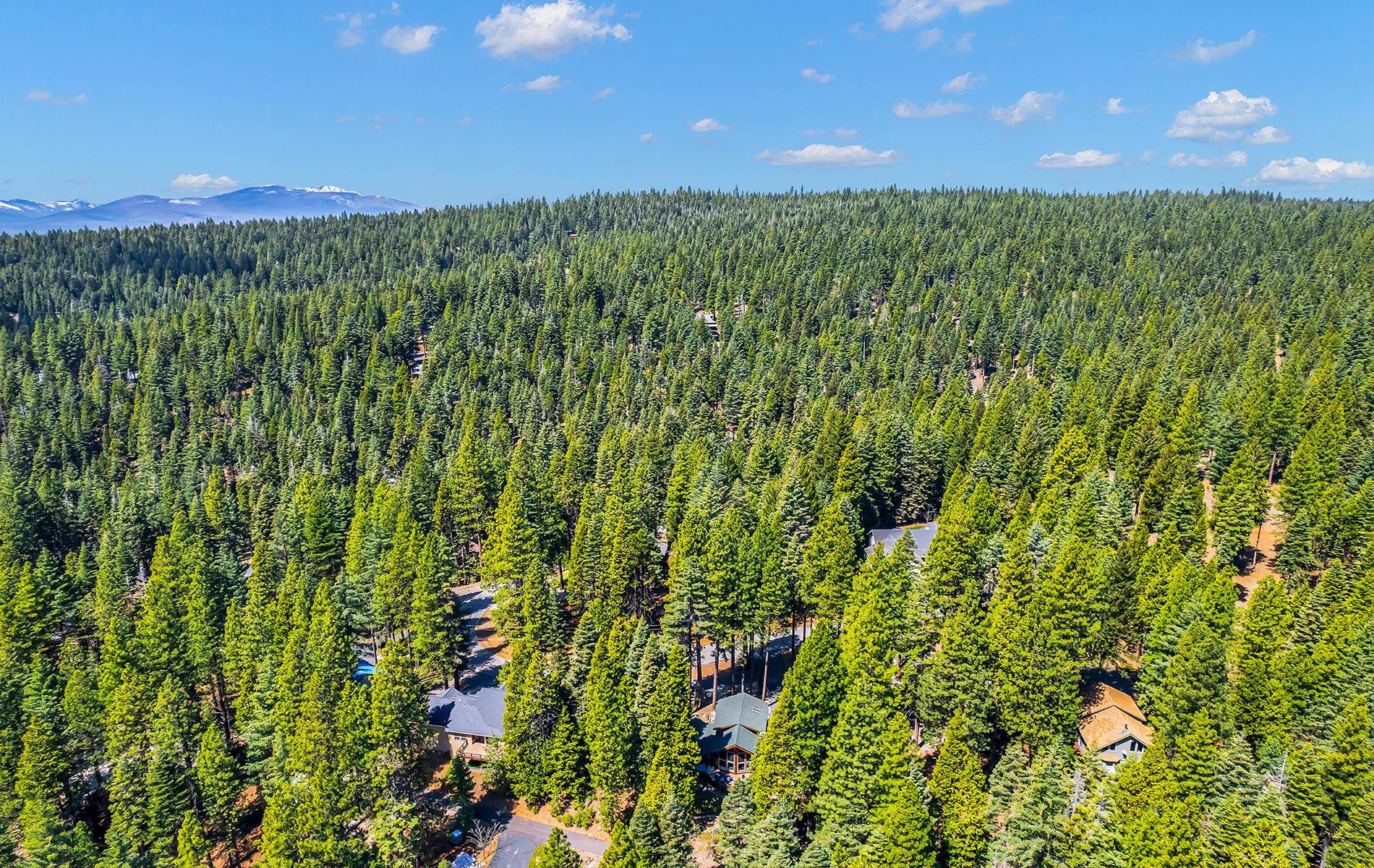 604 Cedar Canyon Road, Lake Almanor, Texas image 38