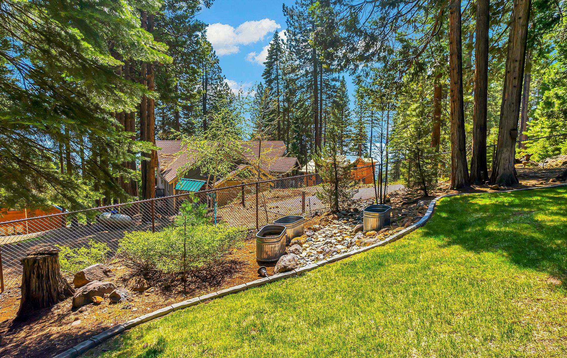 604 Cedar Canyon Road, Lake Almanor, Texas image 32