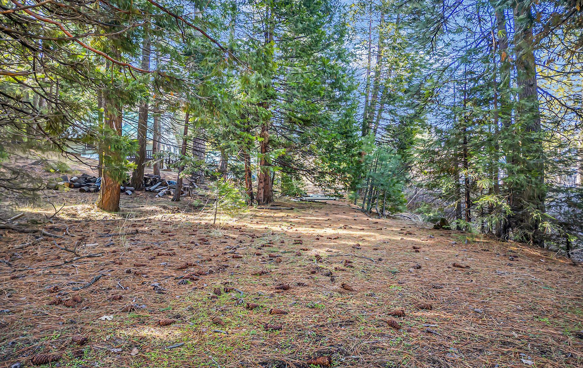 5365 Highway 147 Drive, Lake Almanor, New Mexico image 22