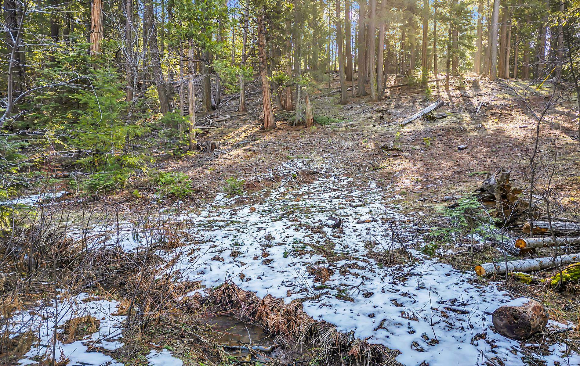 5365 Highway 147 Drive, Lake Almanor, New Mexico image 24