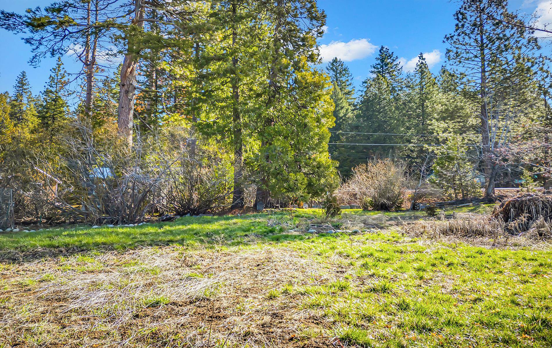 5365 Highway 147 Drive, Lake Almanor, New Mexico image 11