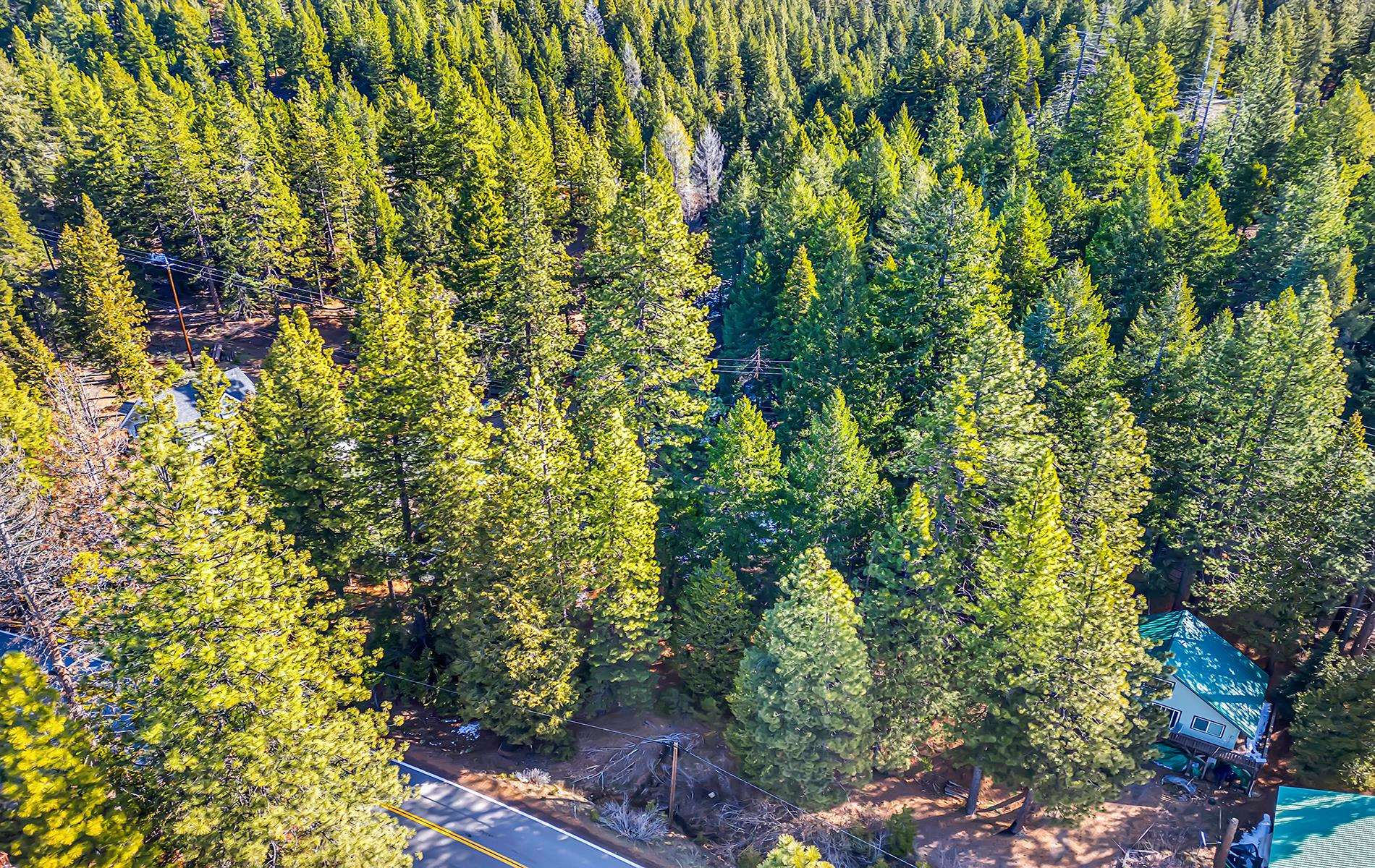 5365 Highway 147 Drive, Lake Almanor, New Mexico image 40