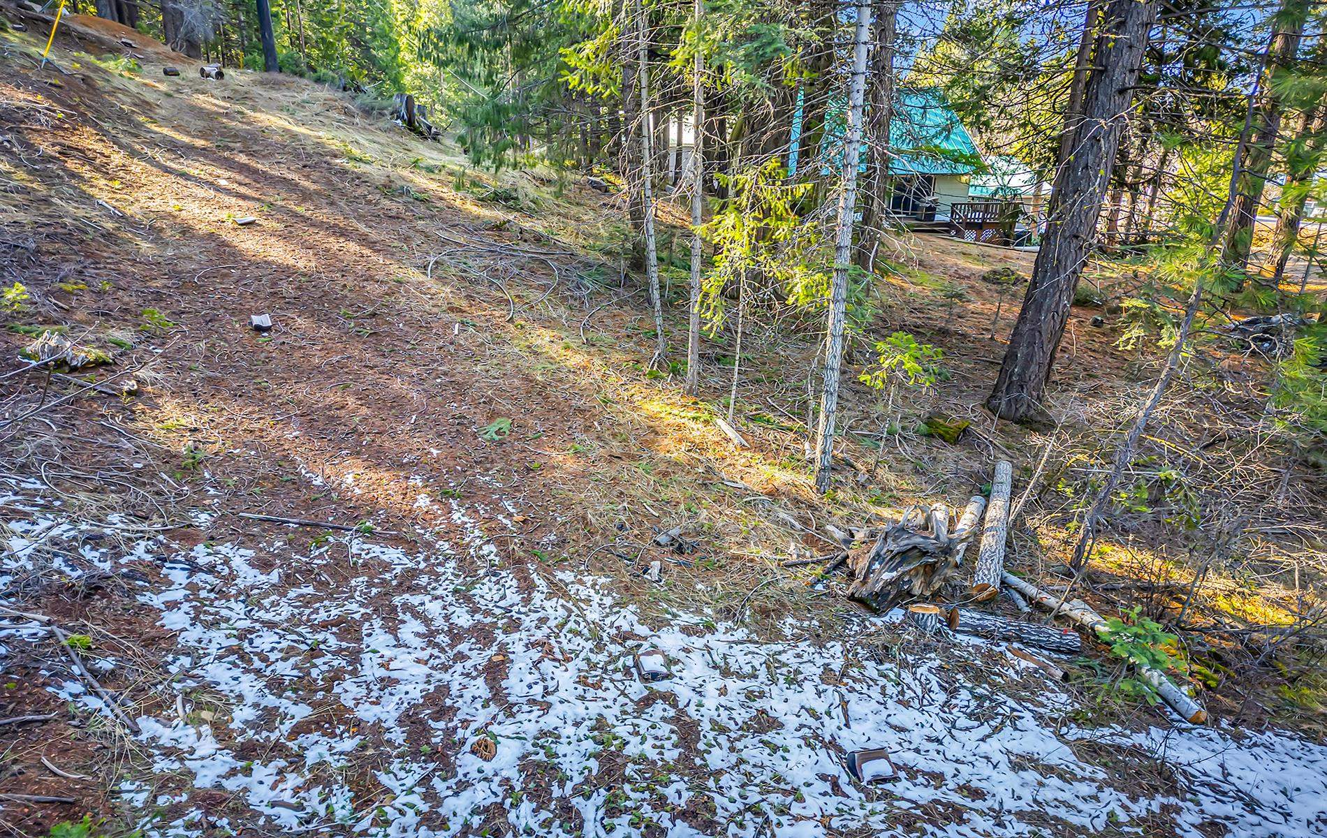 5365 Highway 147 Drive, Lake Almanor, New Mexico image 28