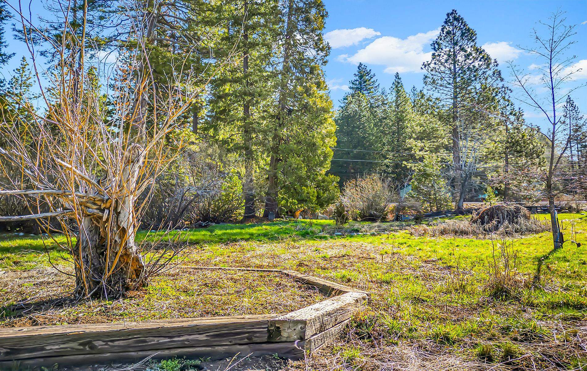 5365 Highway 147 Drive, Lake Almanor, New Mexico image 10