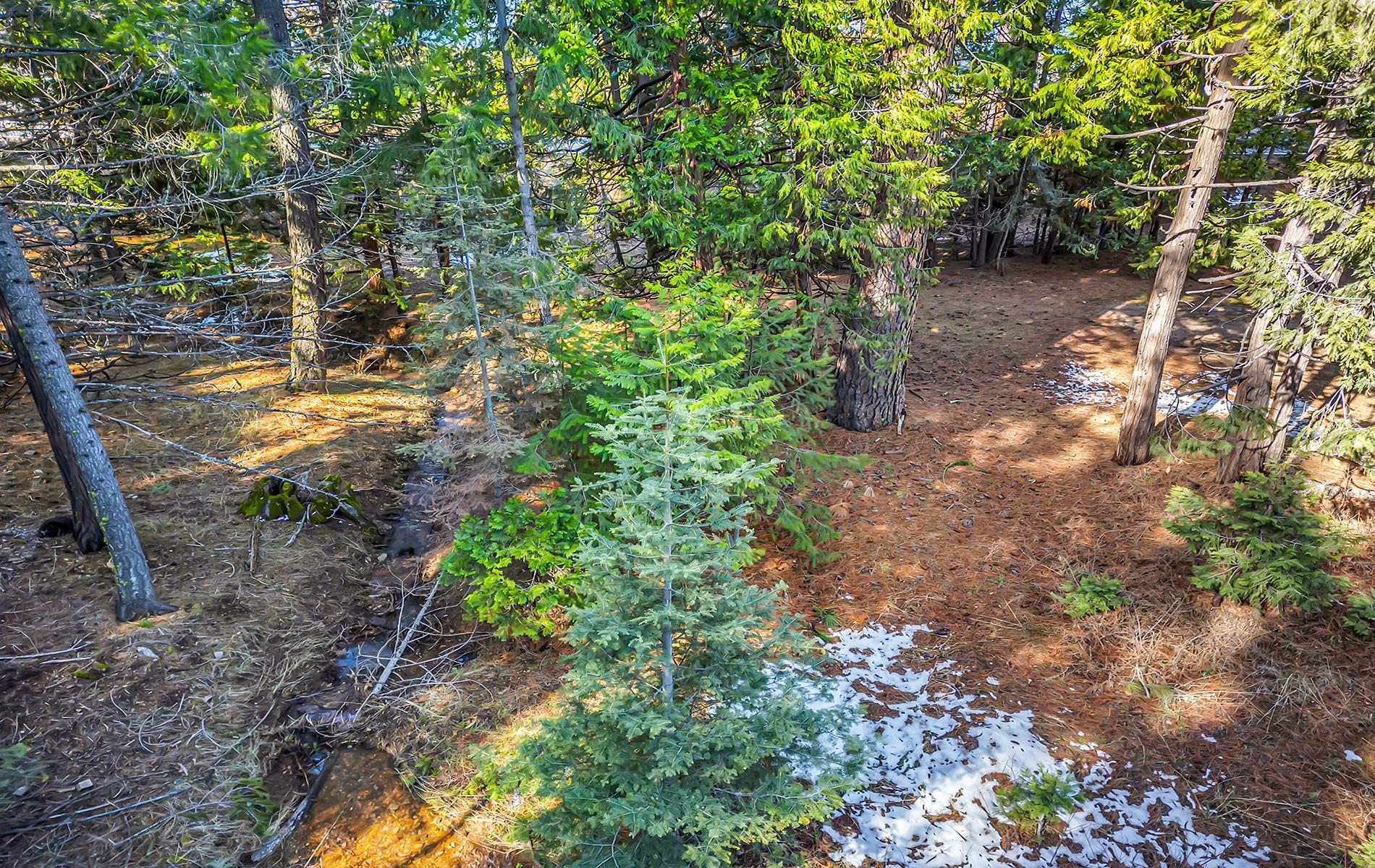 5365 Highway 147 Drive, Lake Almanor, New Mexico image 29