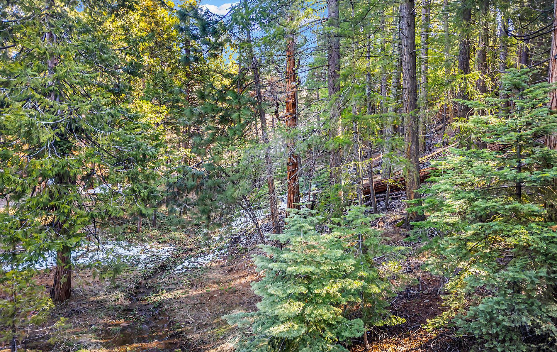 5365 Highway 147 Drive, Lake Almanor, New Mexico image 27
