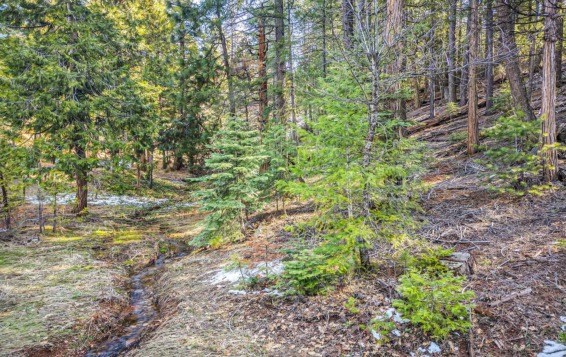 5365 Highway 147 Drive, Lake Almanor, New Mexico image 26