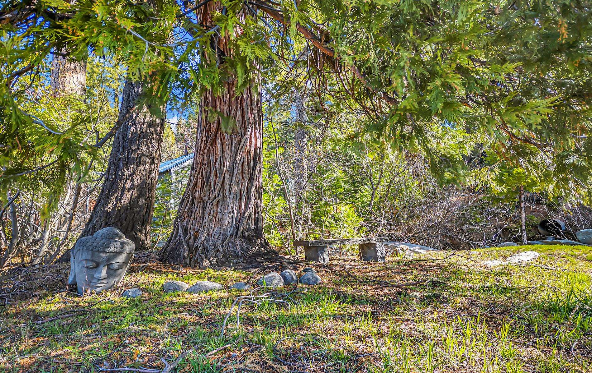 5365 Highway 147 Drive, Lake Almanor, New Mexico image 13