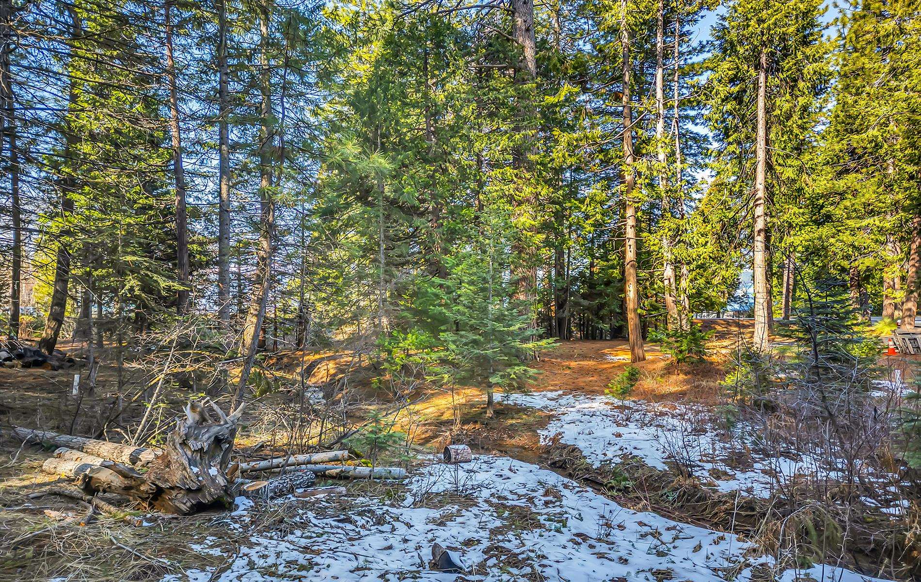 5365 Highway 147 Drive, Lake Almanor, New Mexico image 25