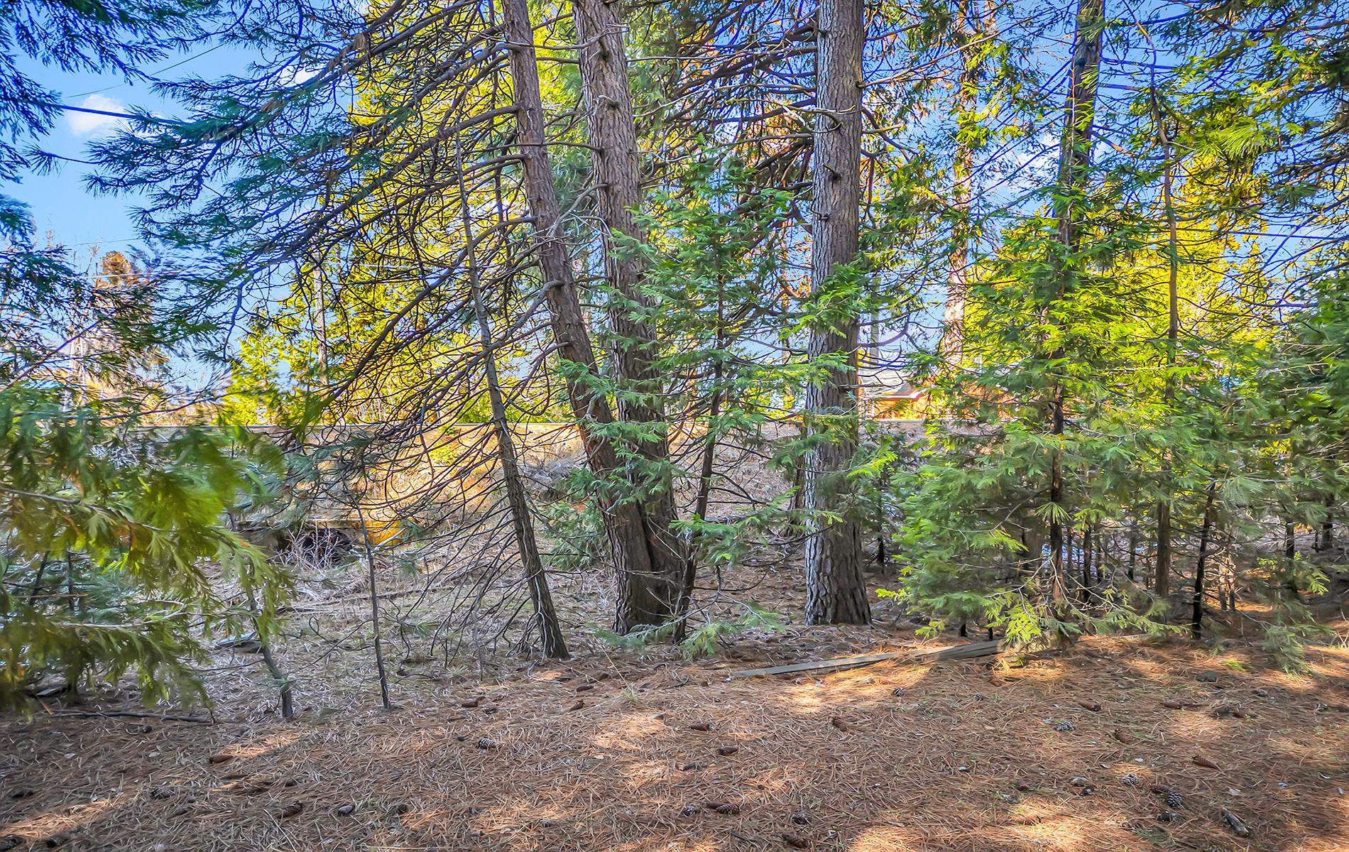5365 Highway 147 Drive, Lake Almanor, New Mexico image 30