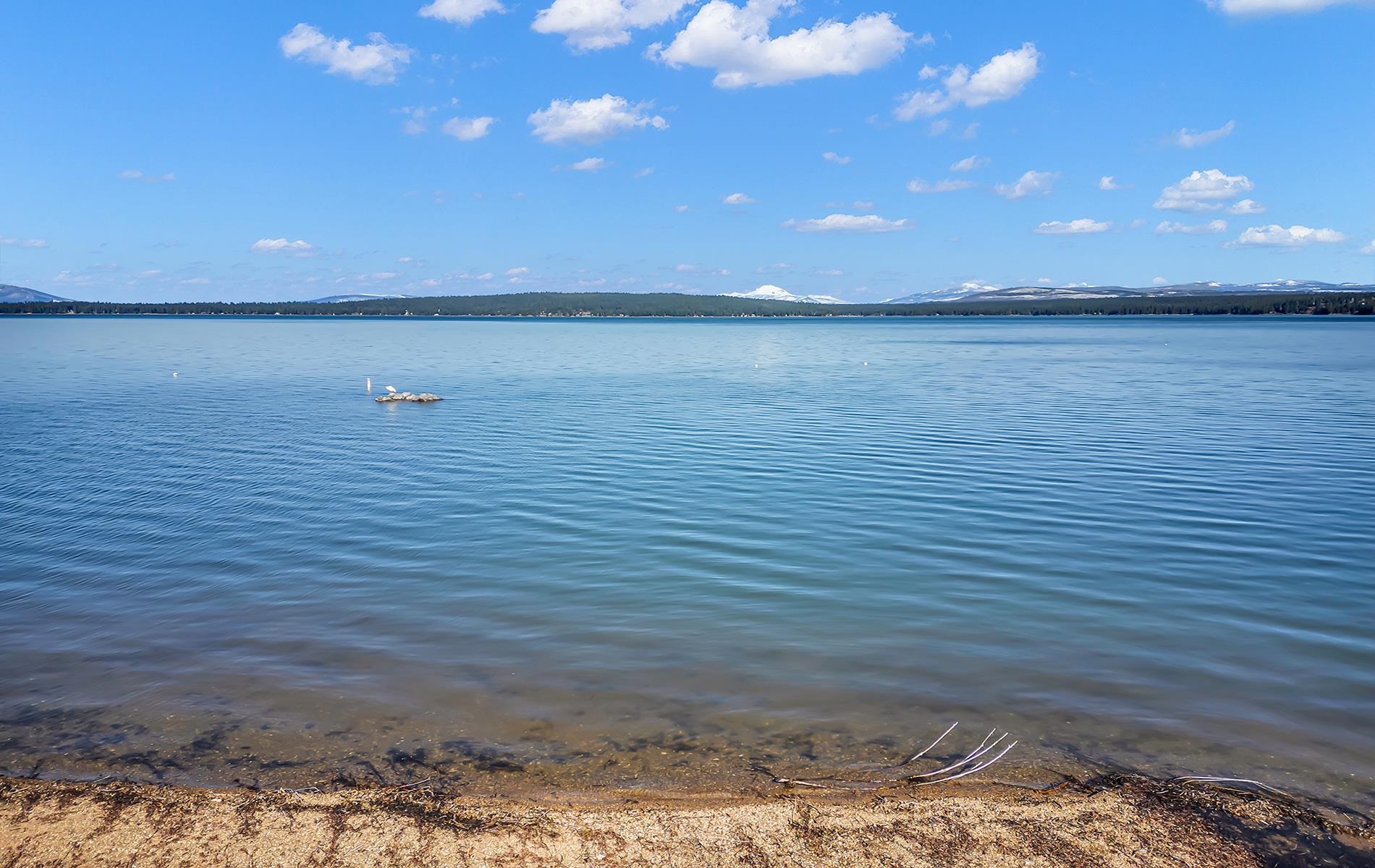 5365 Highway 147 Drive, Lake Almanor, New Mexico image 7