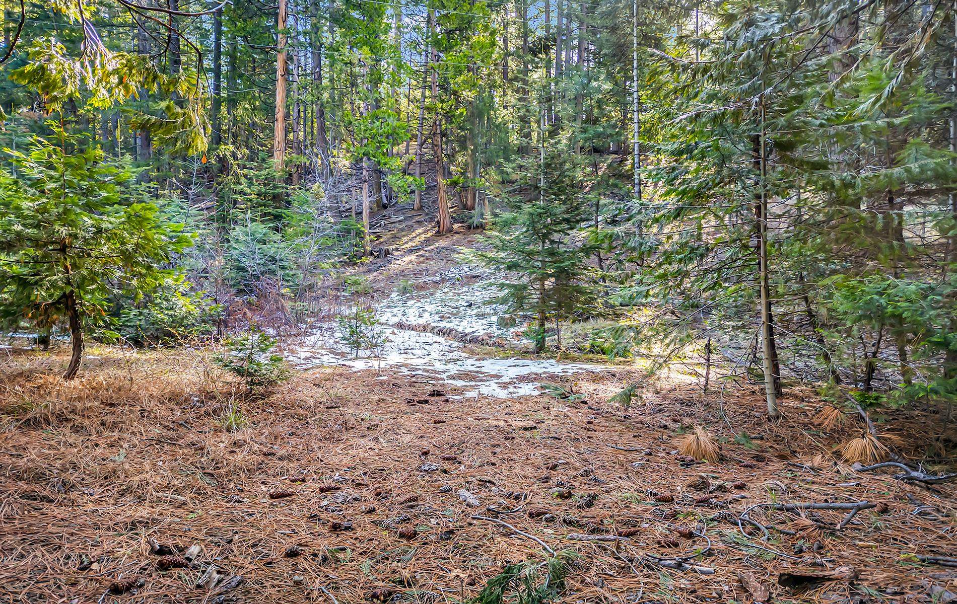 5365 Highway 147 Drive, Lake Almanor, New Mexico image 23