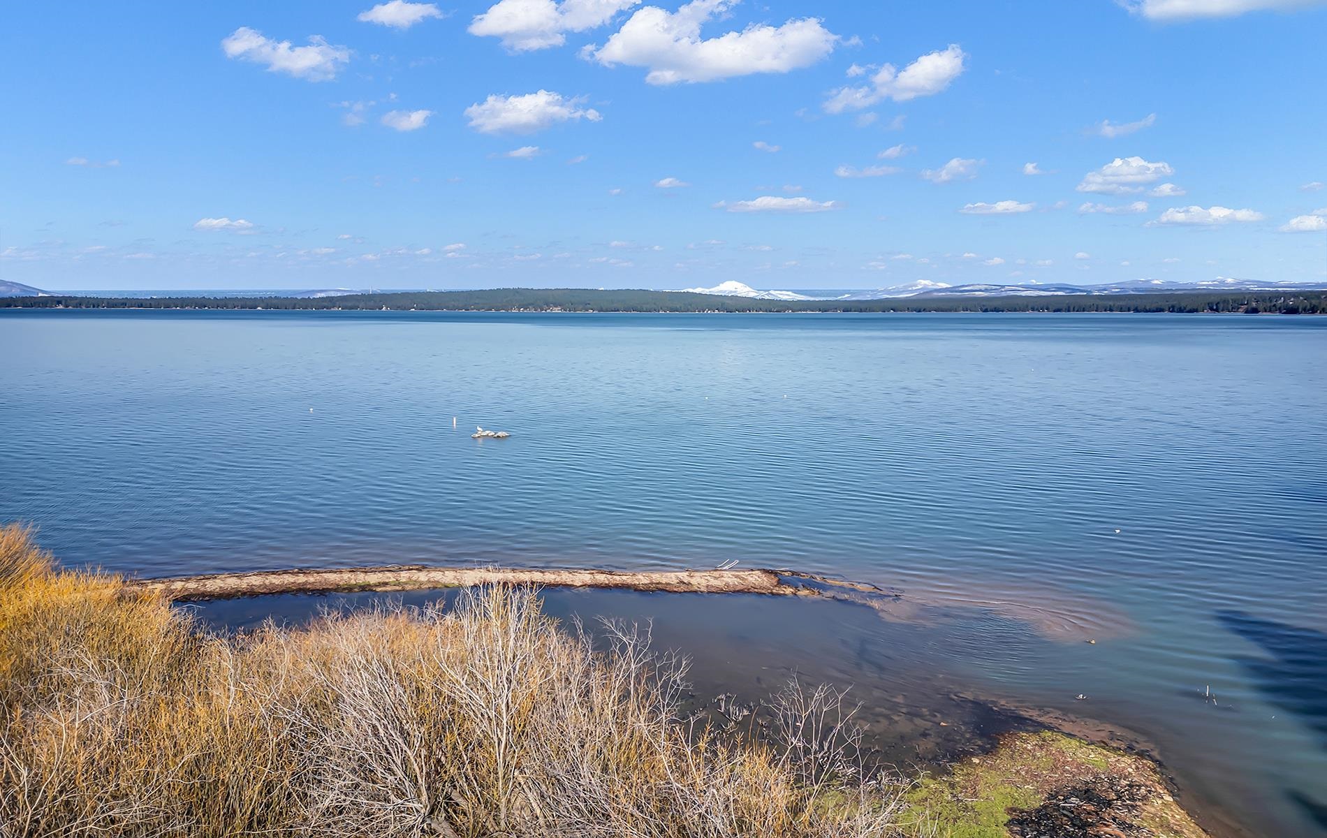 5365 Highway 147 Drive, Lake Almanor, New Mexico image 6