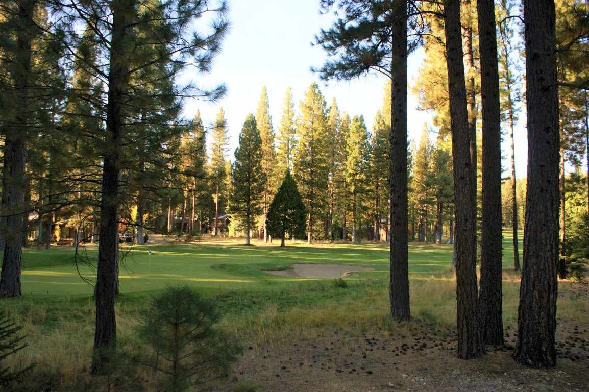 44 Black Bear Trail, Clio, California image 1