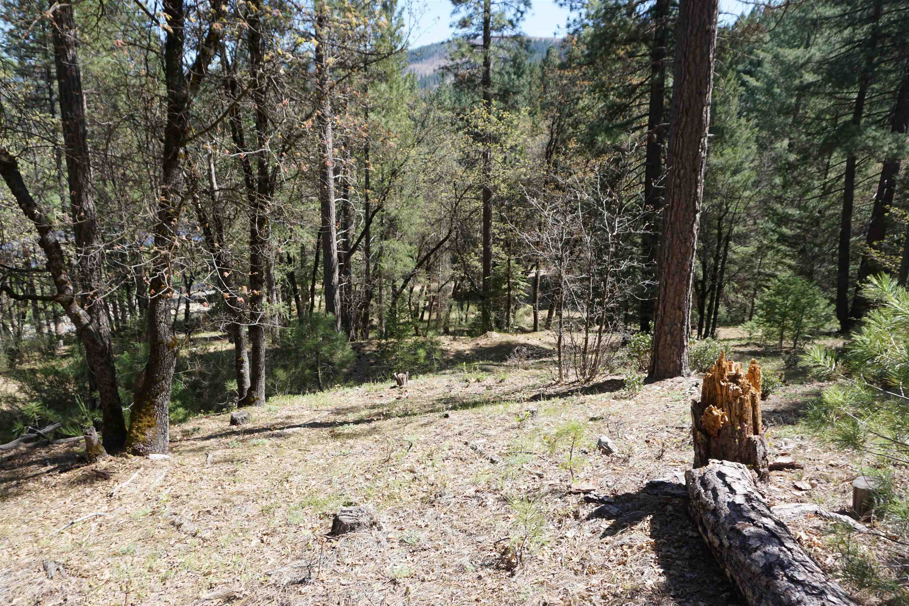 114 Quincy La Porte Road, Quincy, New Mexico image 13