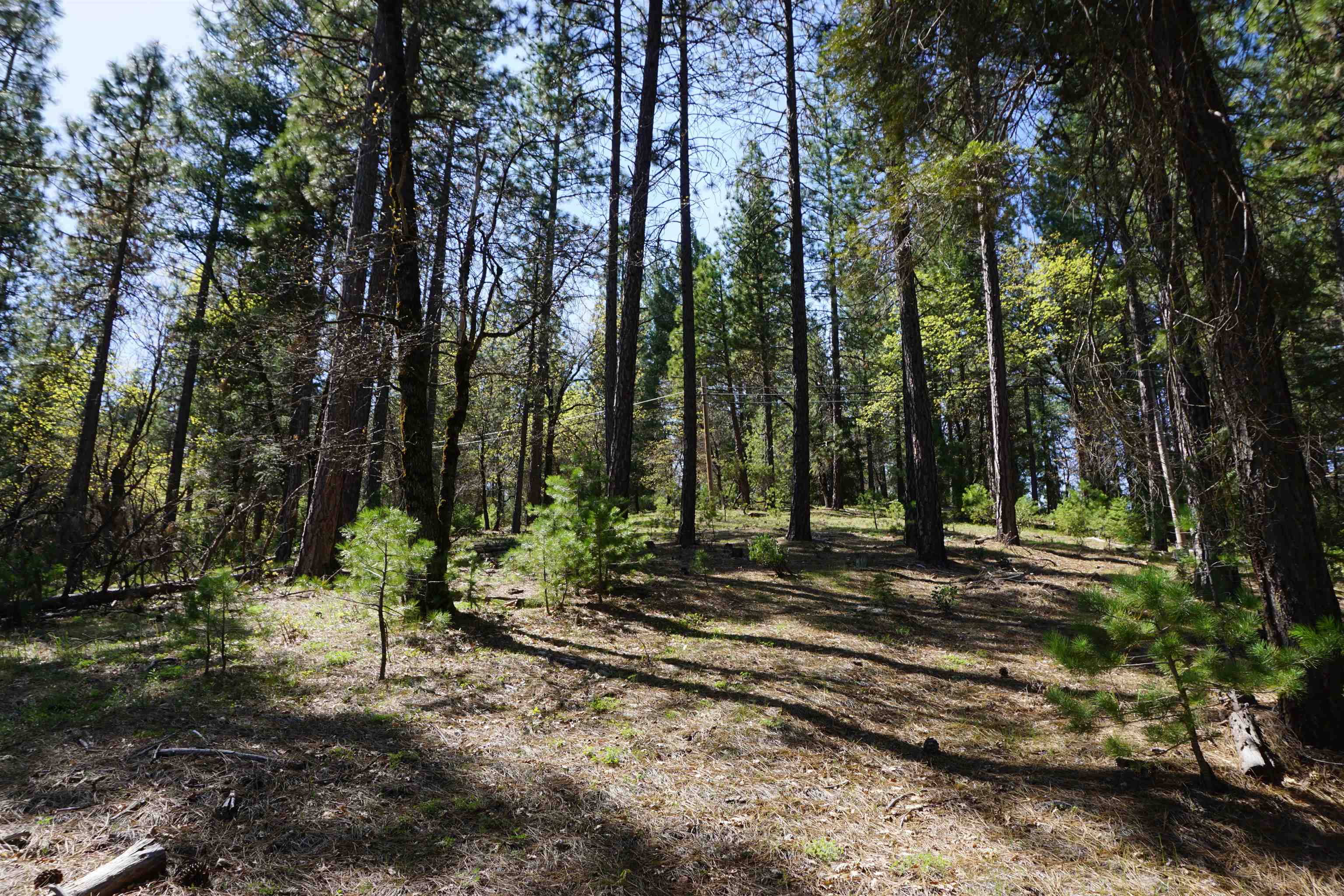 114 Quincy La Porte Road, Quincy, New Mexico image 10