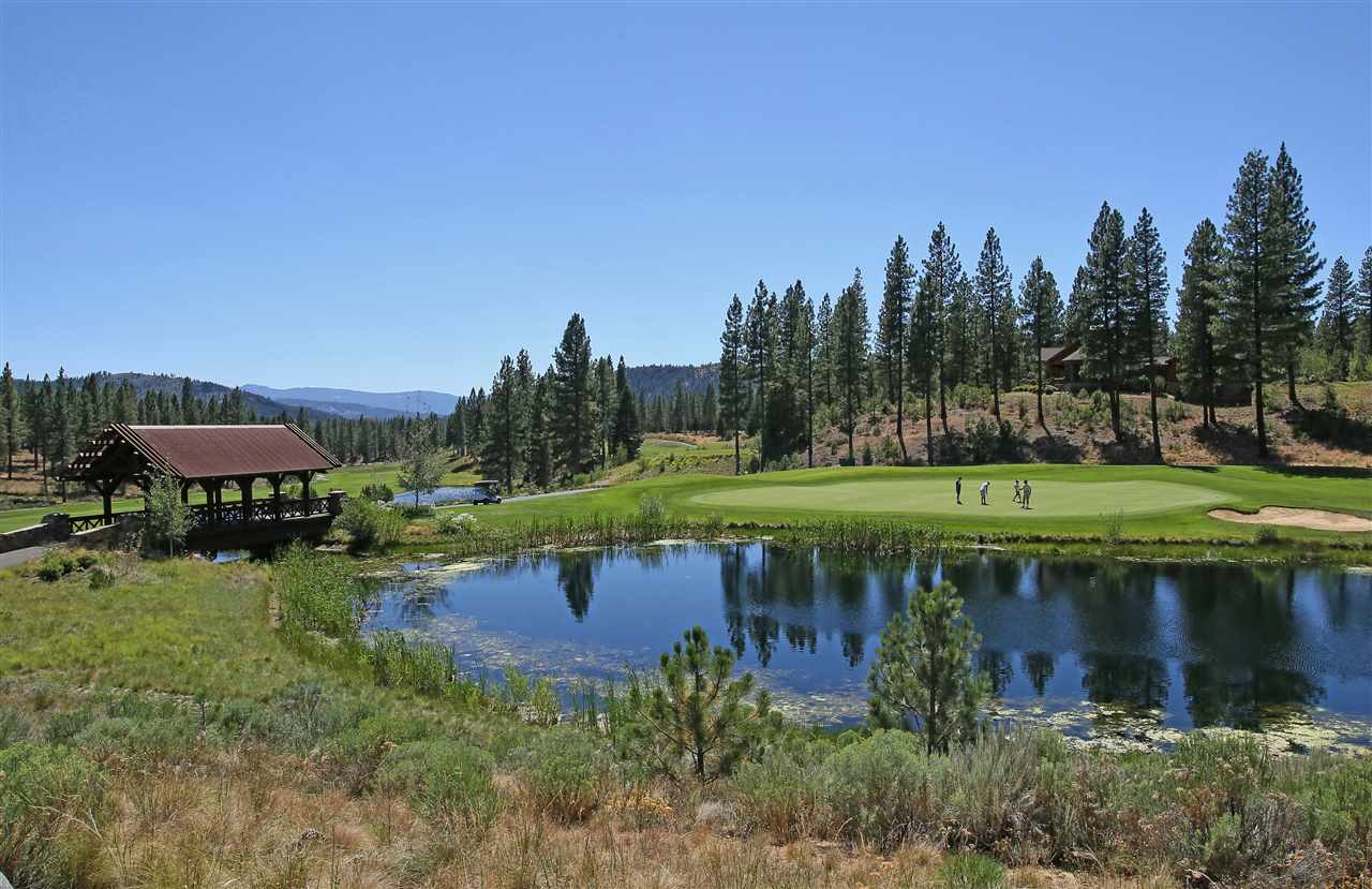 95 Big Grizzly, Portola, California image 8